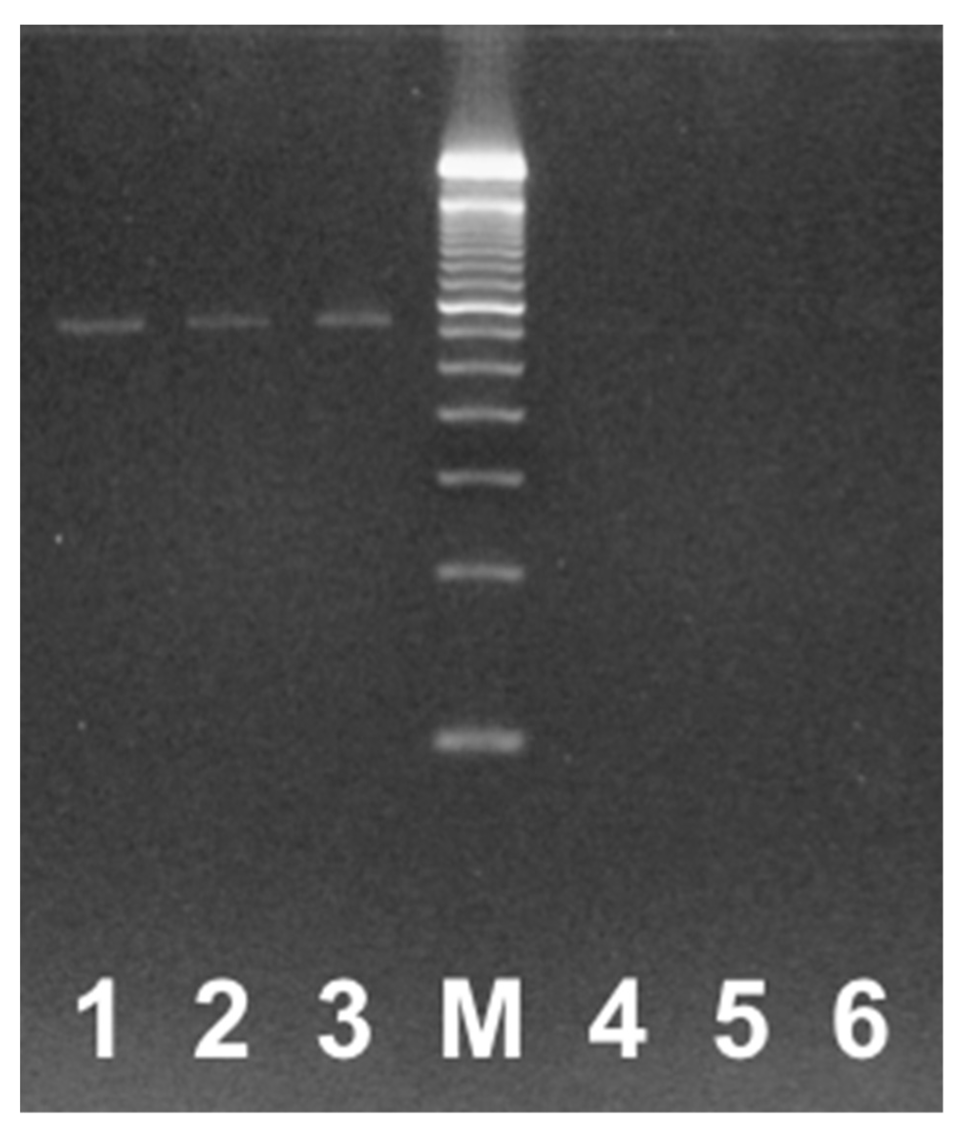 Tropicalmed 04 00135 g001