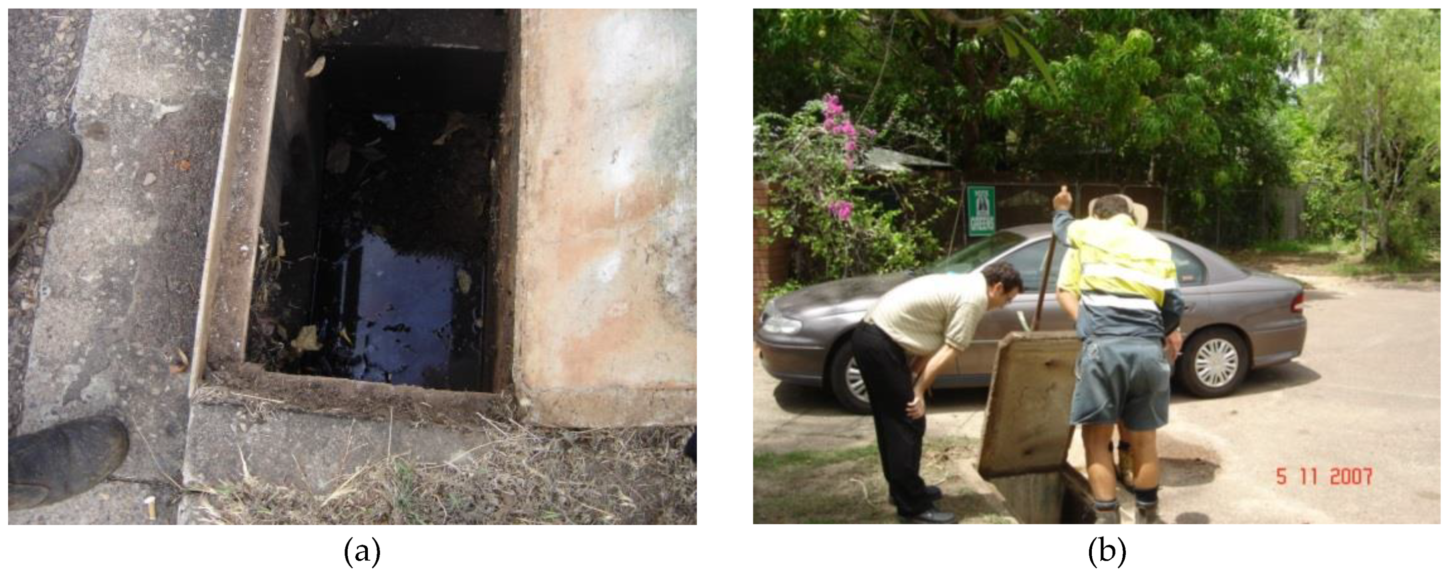 Tropicalmed 05 00009 g001 Tropicalmed 05 00009 g001