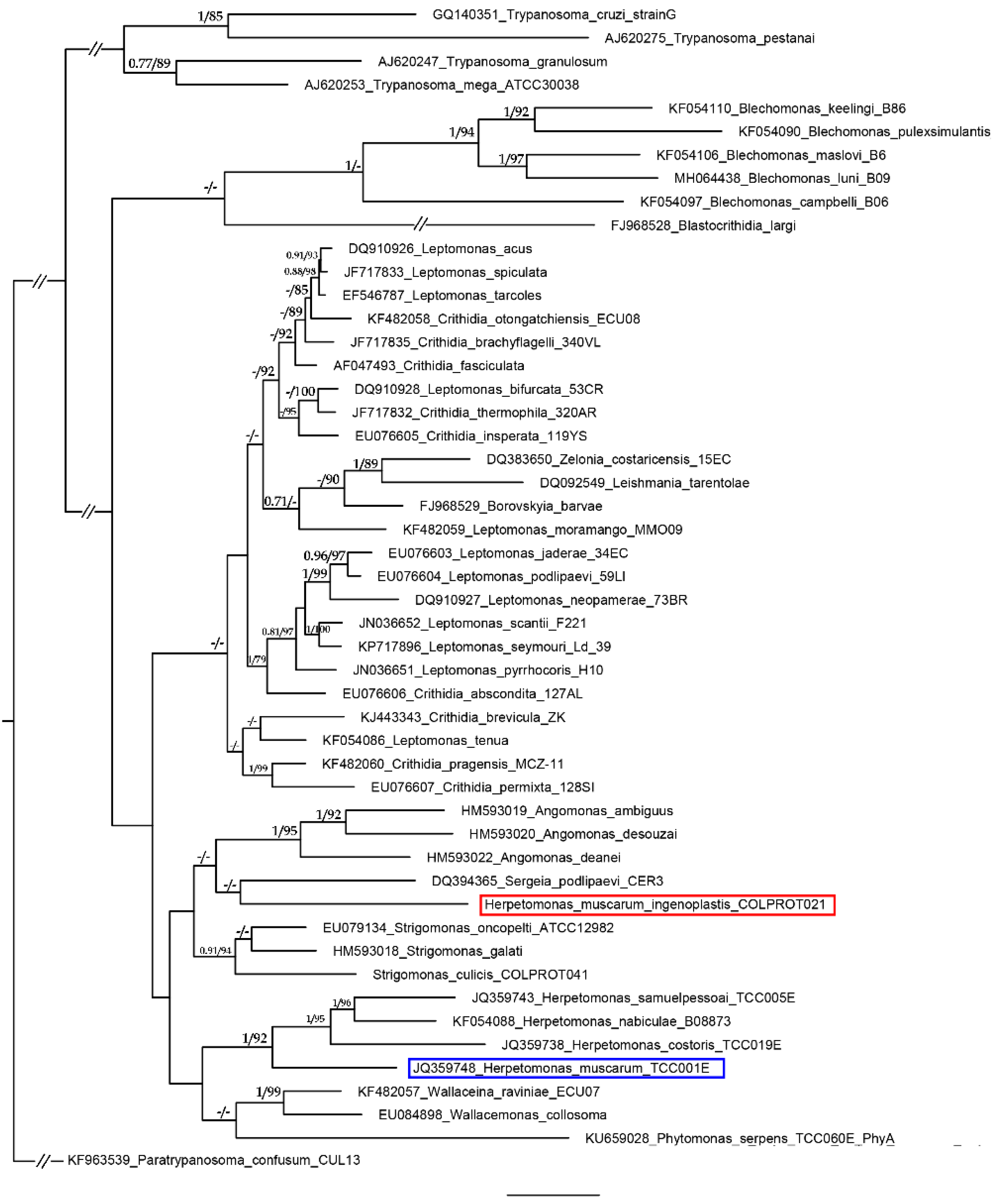 Tropicalmed 05 00025 g001 Tropicalmed 05 00025 g001