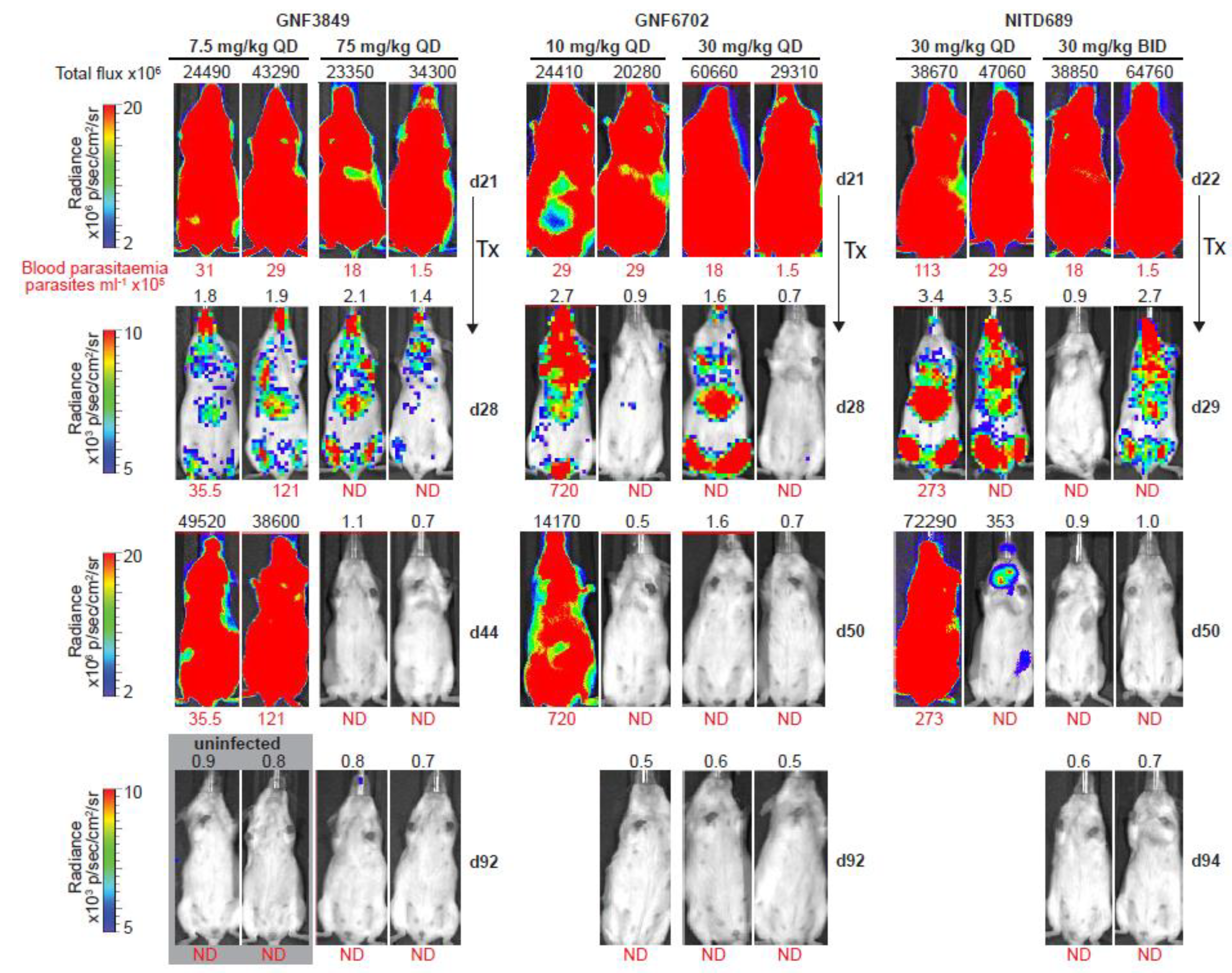 Tropicalmed 05 00028 g005