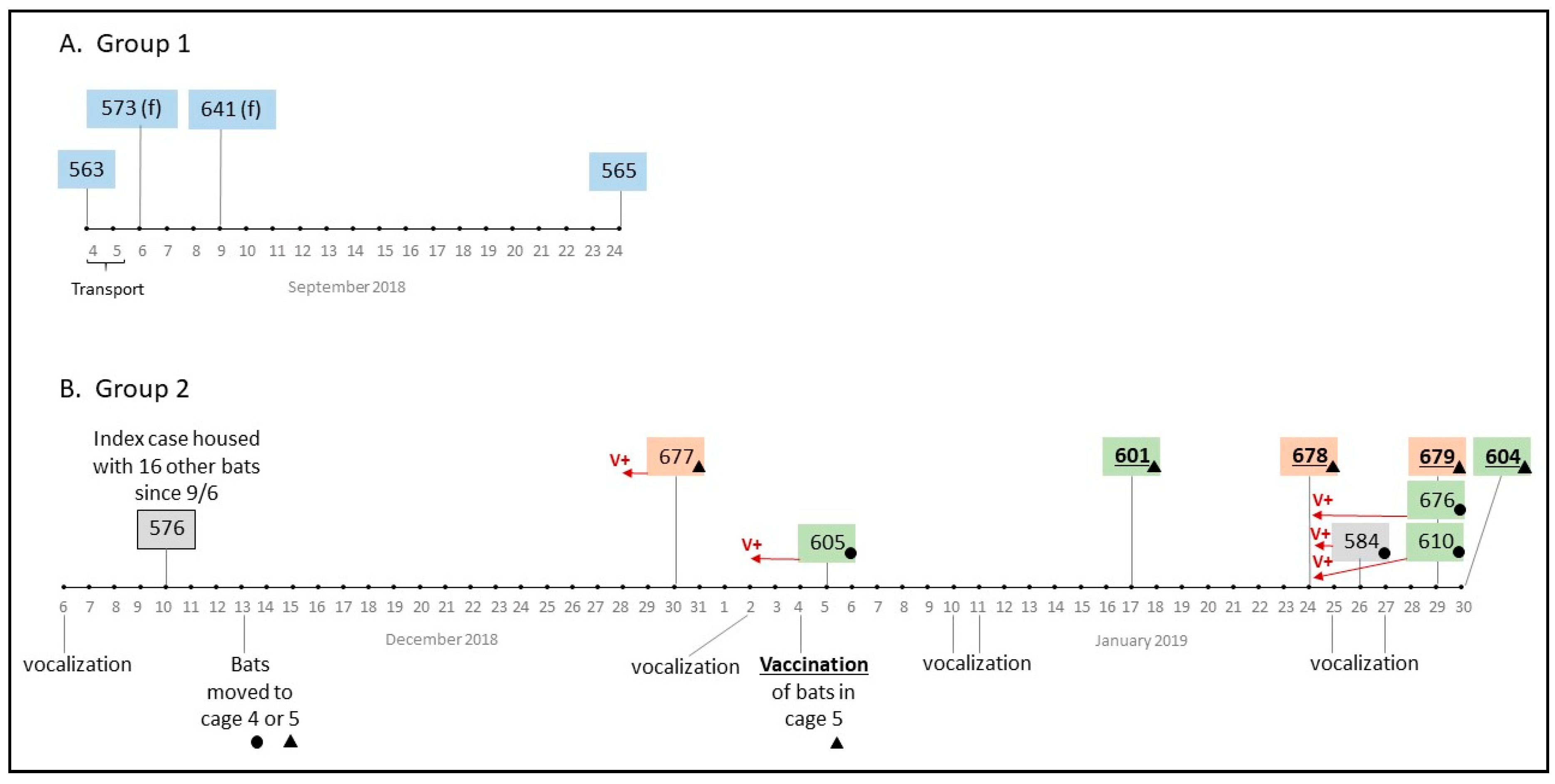 Tropicalmed 05 00034 g002