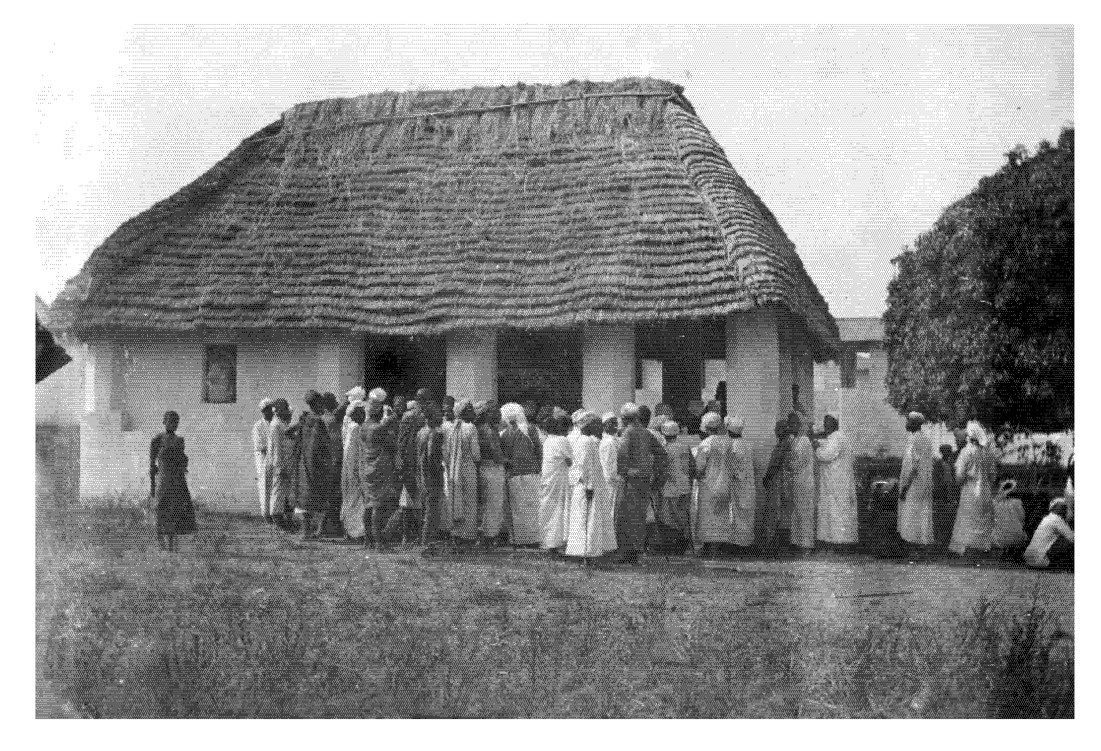 Tropicalmed 05 00042 g002 Tropicalmed 05 00042 g002