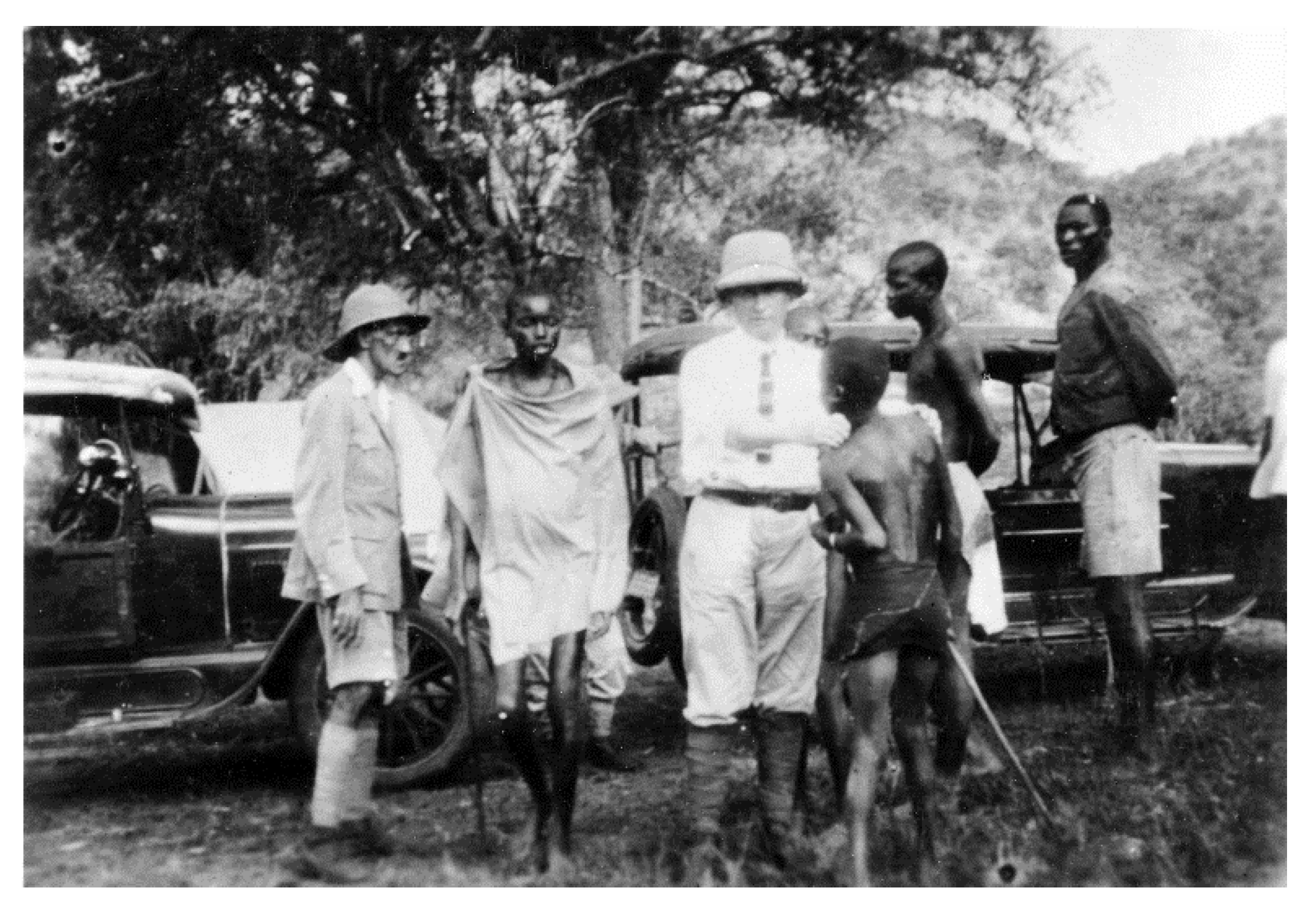 Tropicalmed 05 00042 g003 Tropicalmed 05 00042 g003