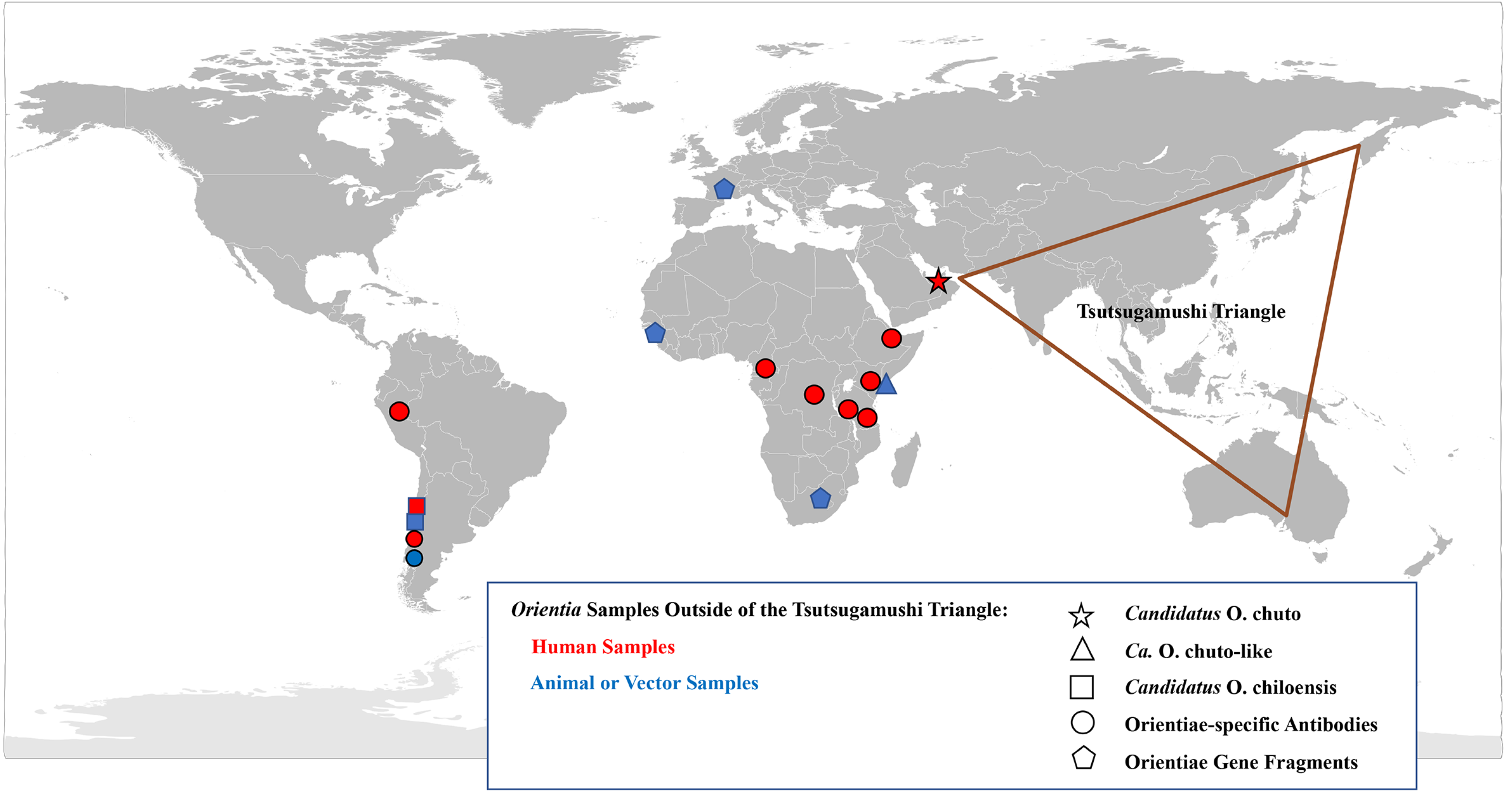 Tropicalmed 05 00049 g002