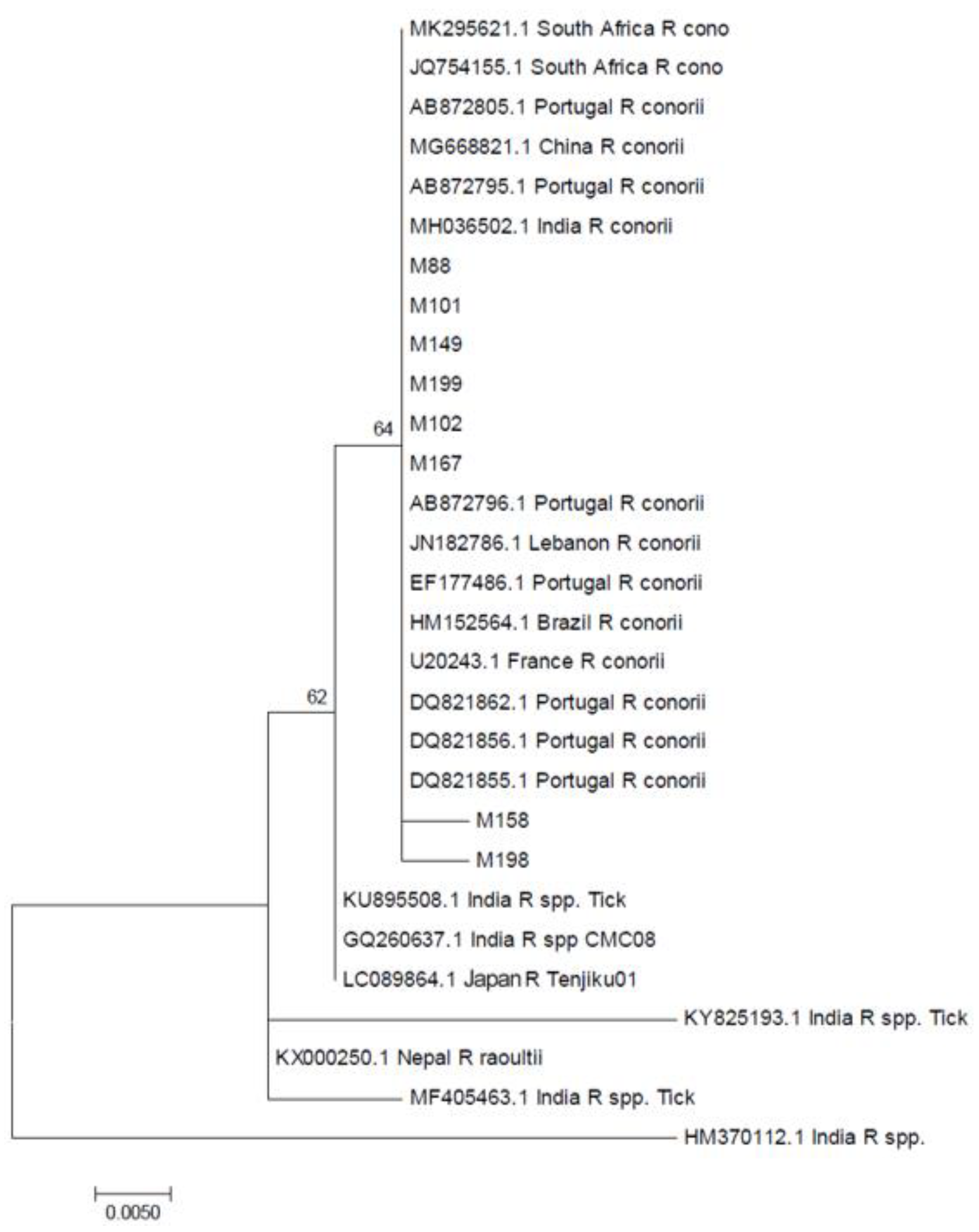 Tropicalmed 05 00059 g001