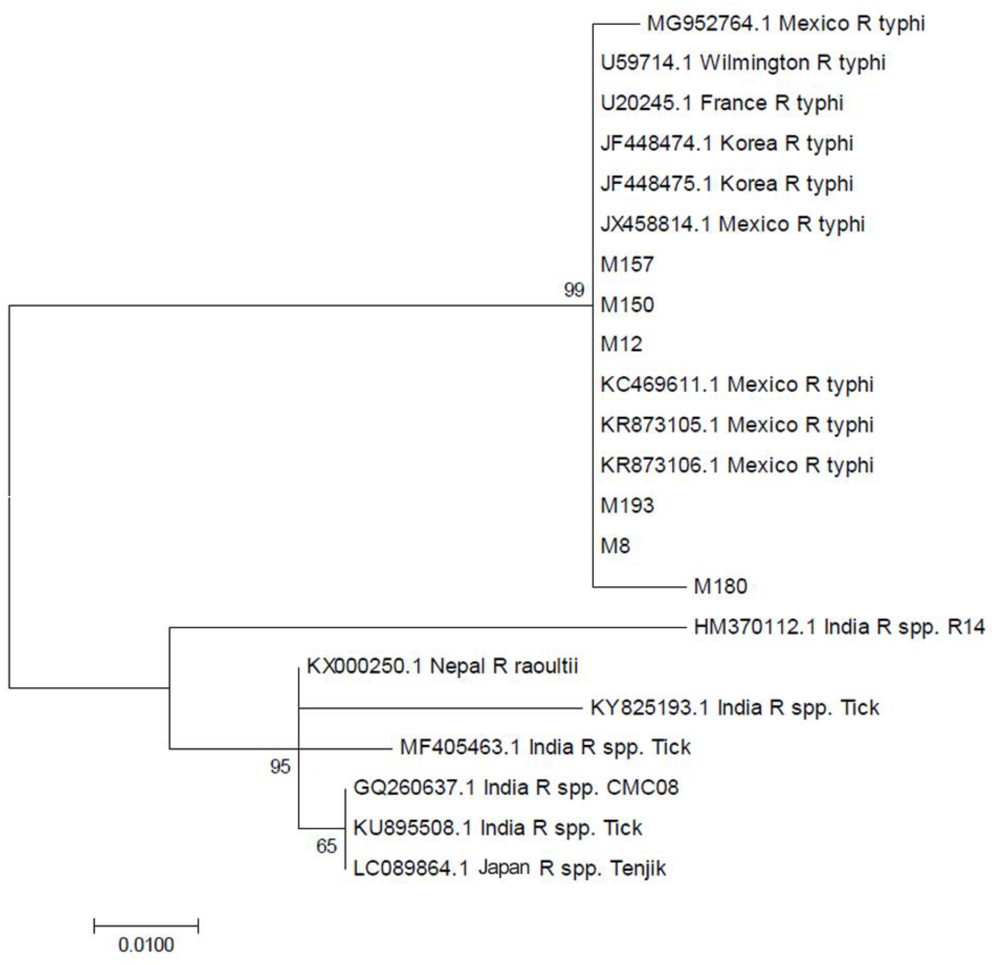 Tropicalmed 05 00059 g002