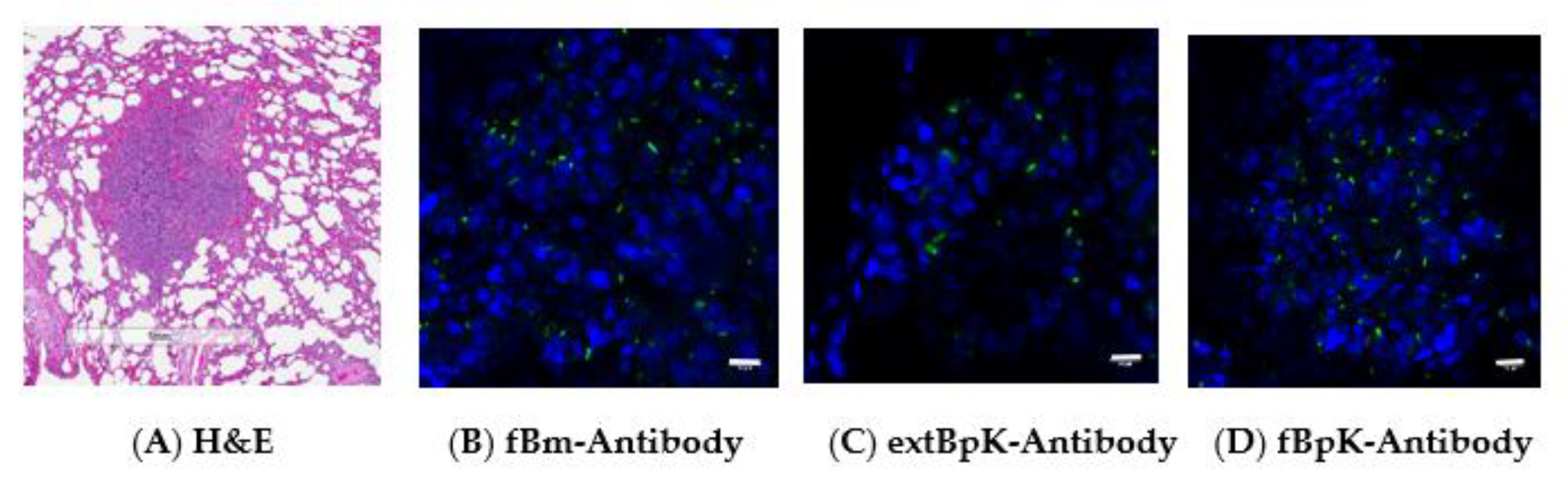 Tropicalmed 05 00065 g006