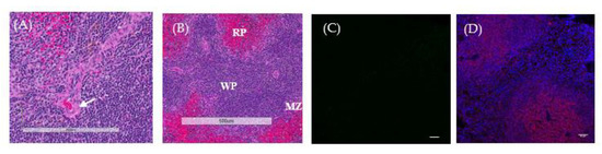 Tropicalmed 05 00065 g0a1