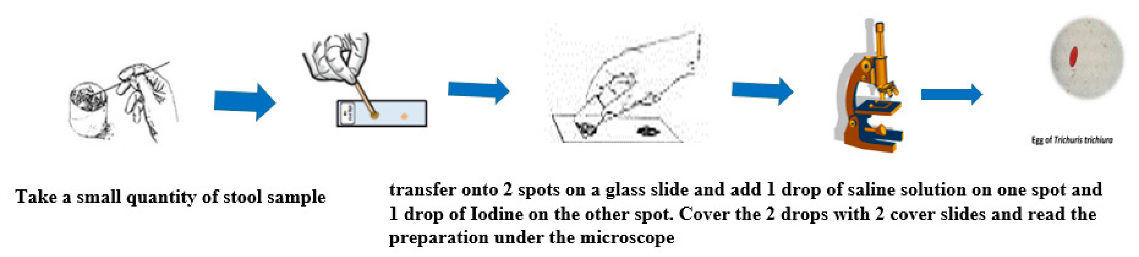 Tropicalmed 05 00093 g002
