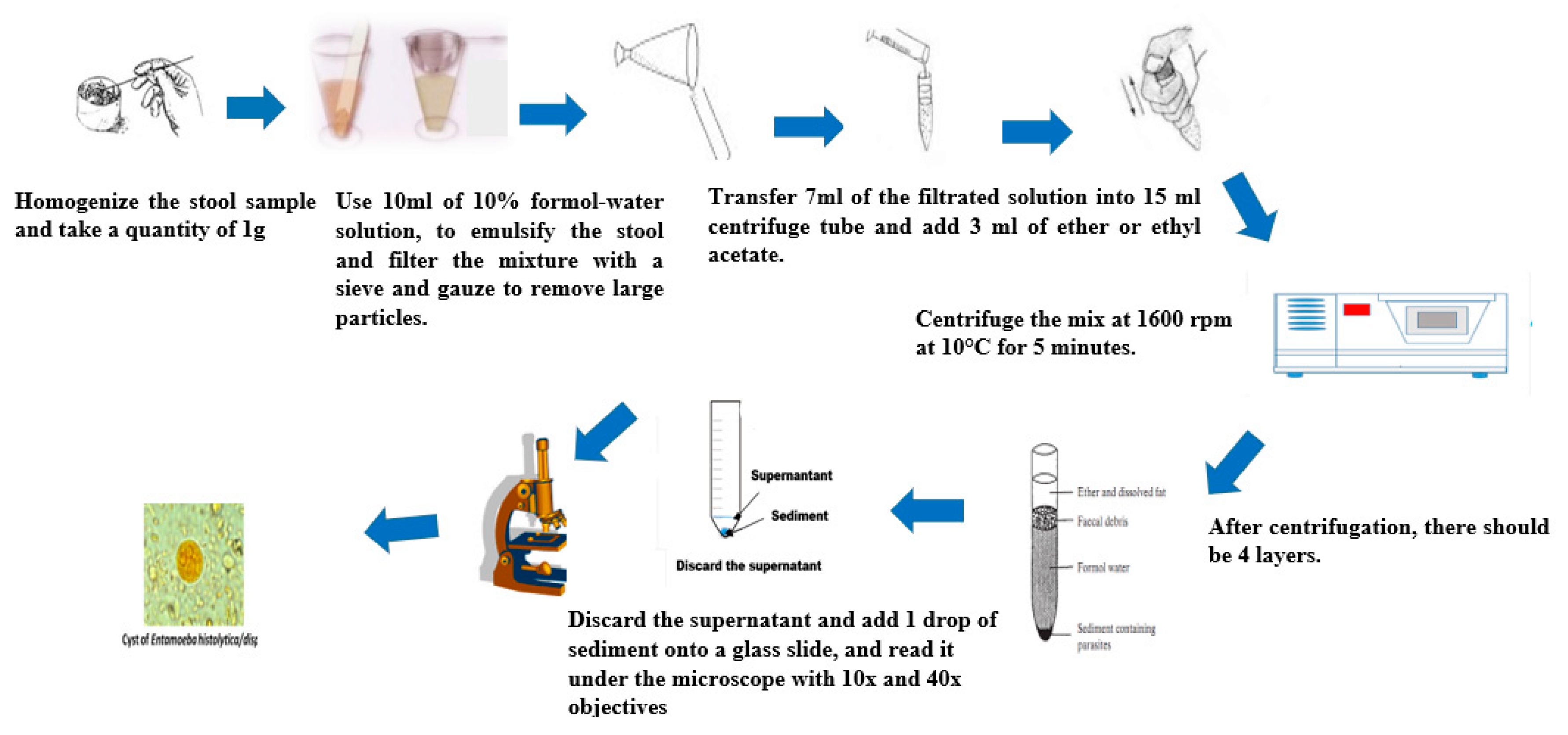Tropicalmed 05 00093 g004