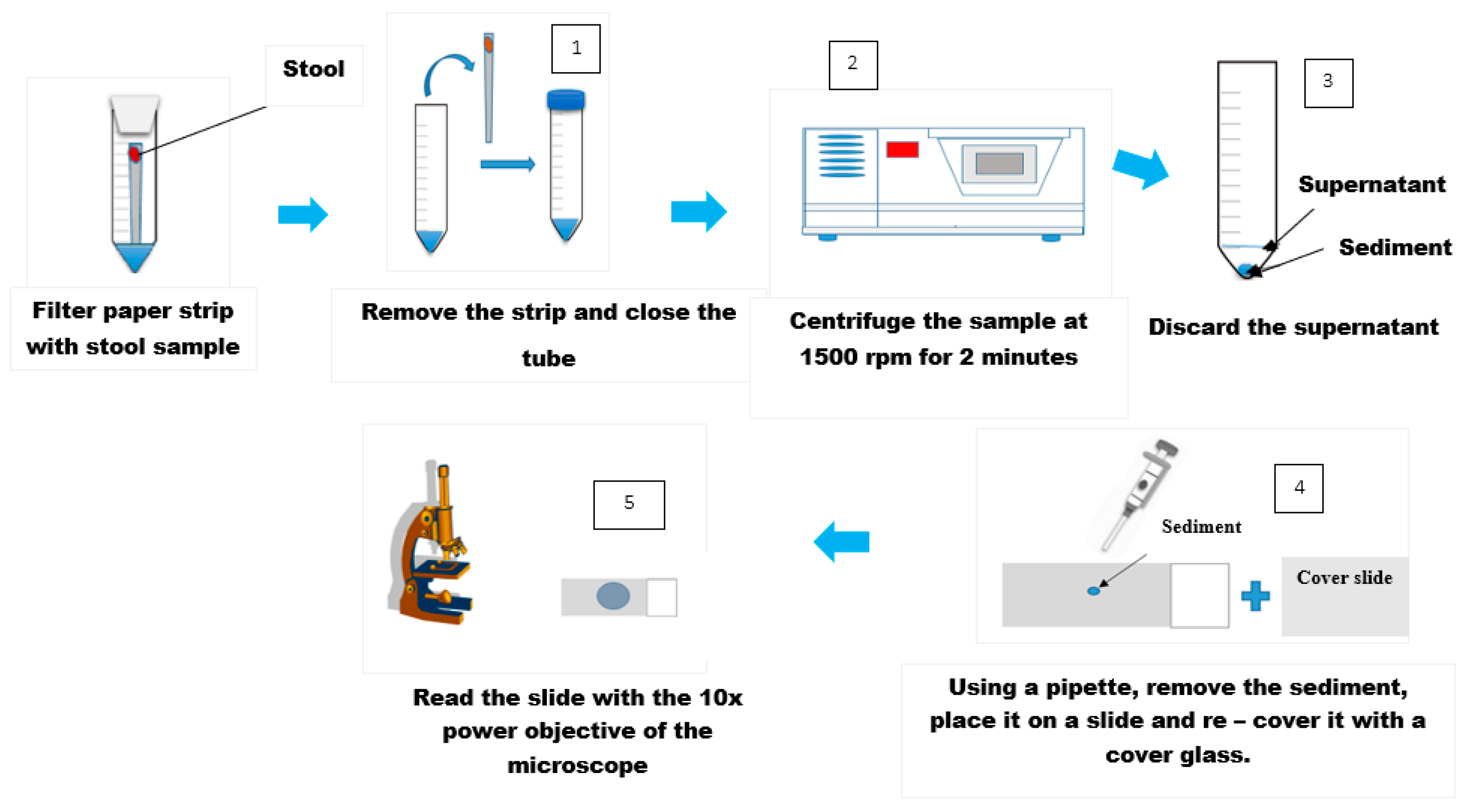 Tropicalmed 05 00093 g005
