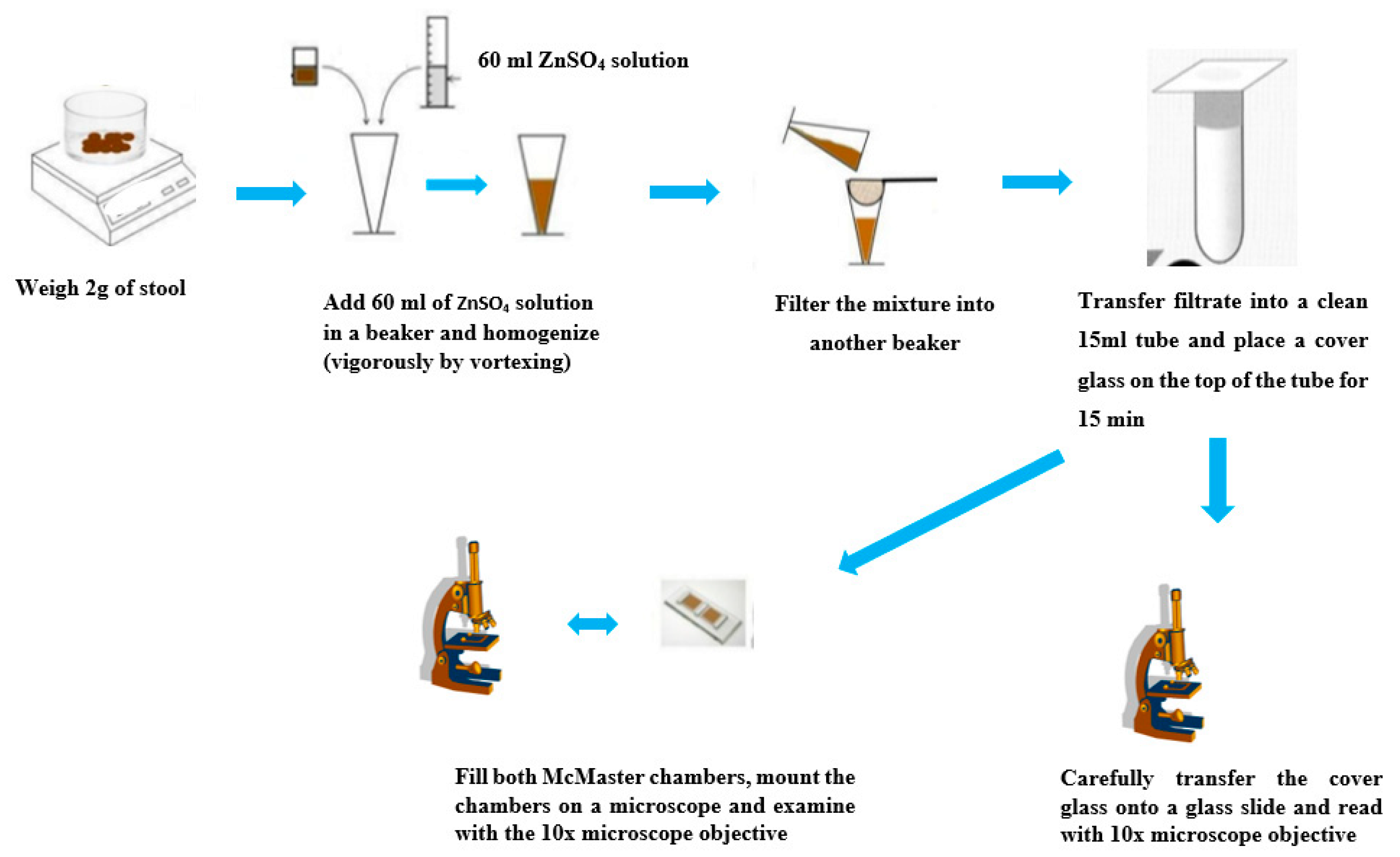 Tropicalmed 05 00093 g006