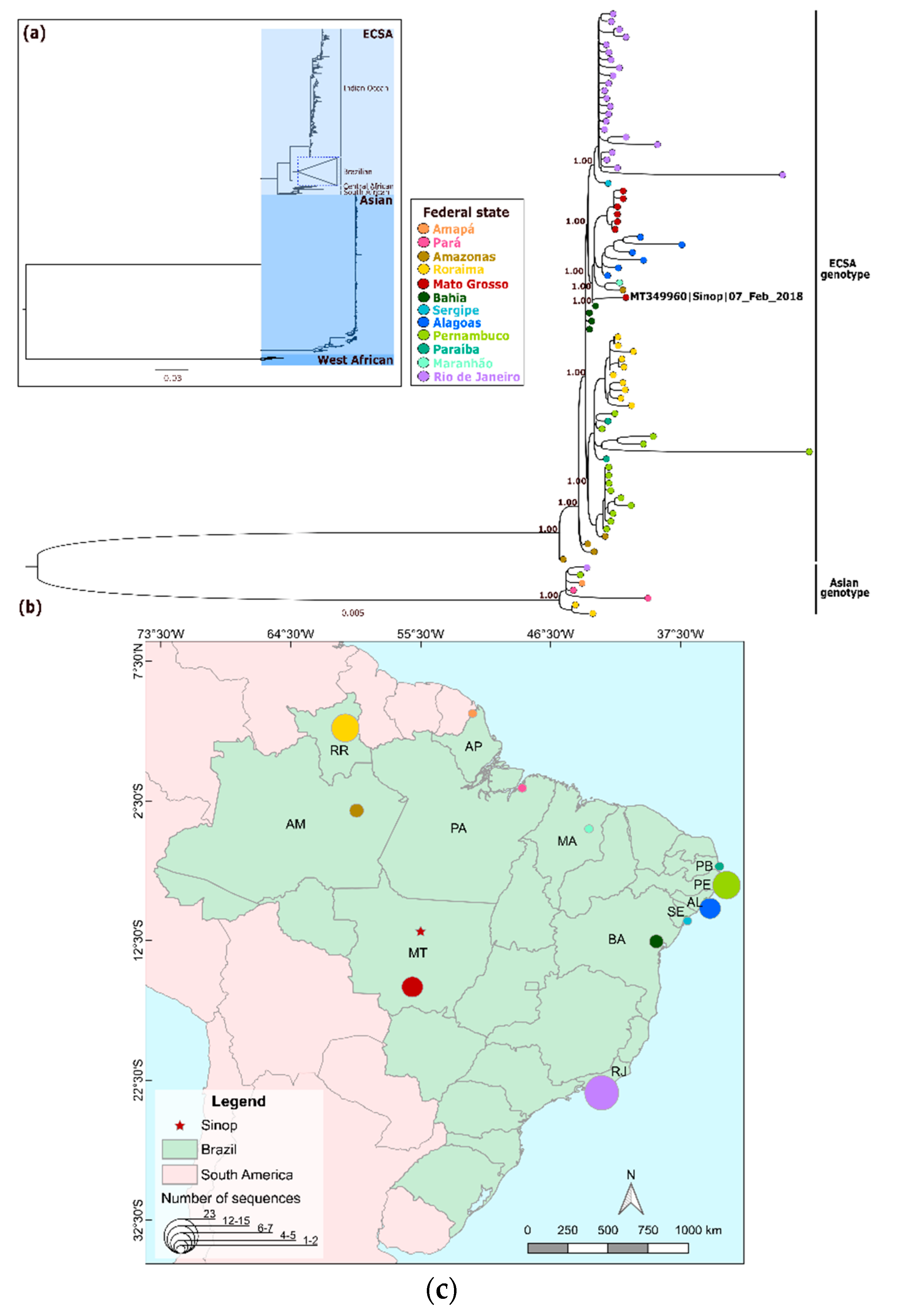 Tropicalmed 05 00105 g003