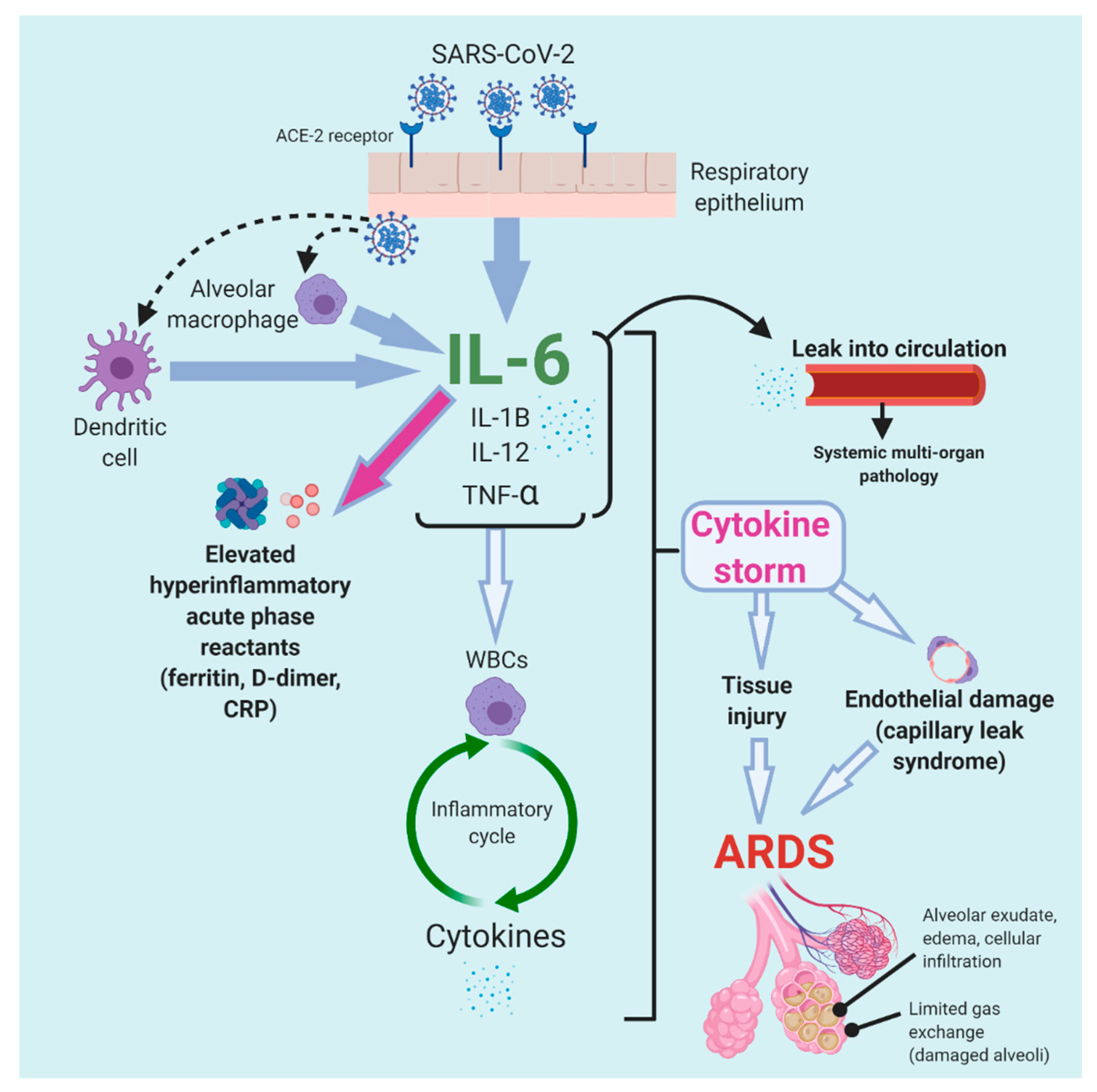Tropicalmed 05 00112 g004