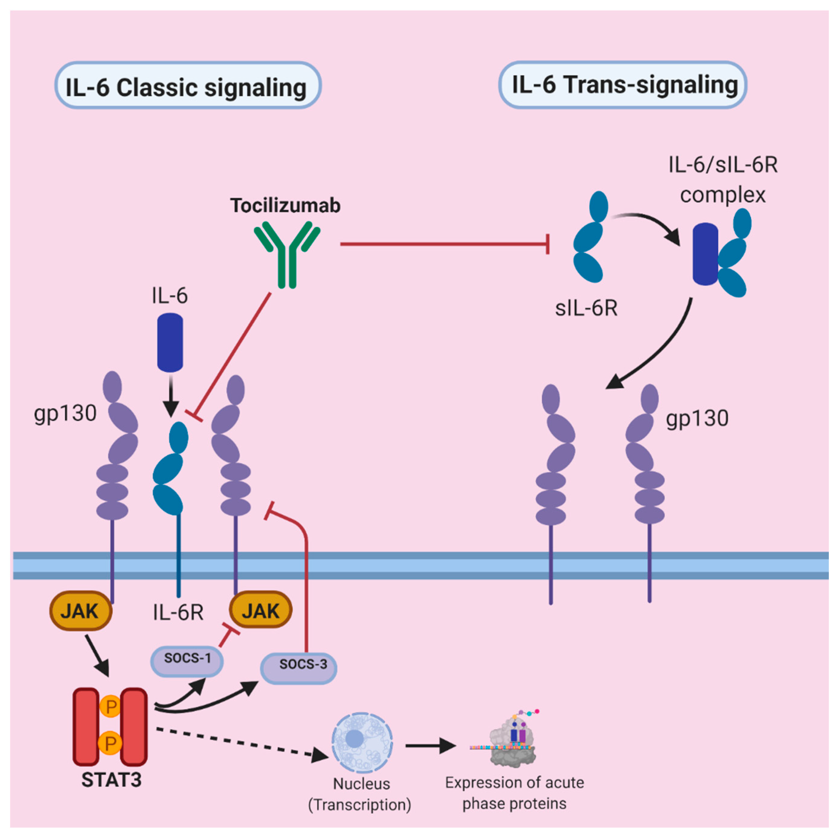Tropicalmed 05 00112 g005