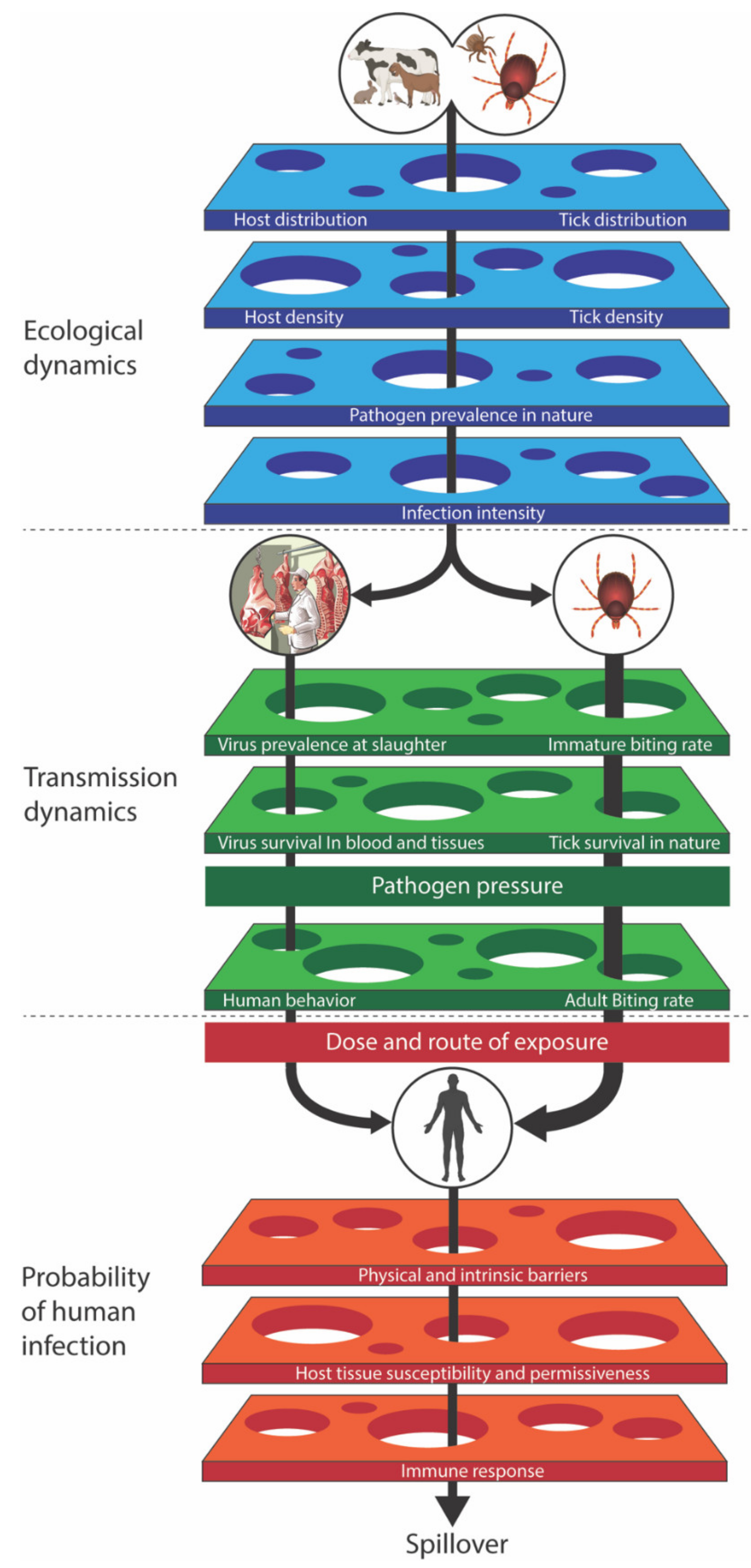 Tropicalmed 05 00113 g002