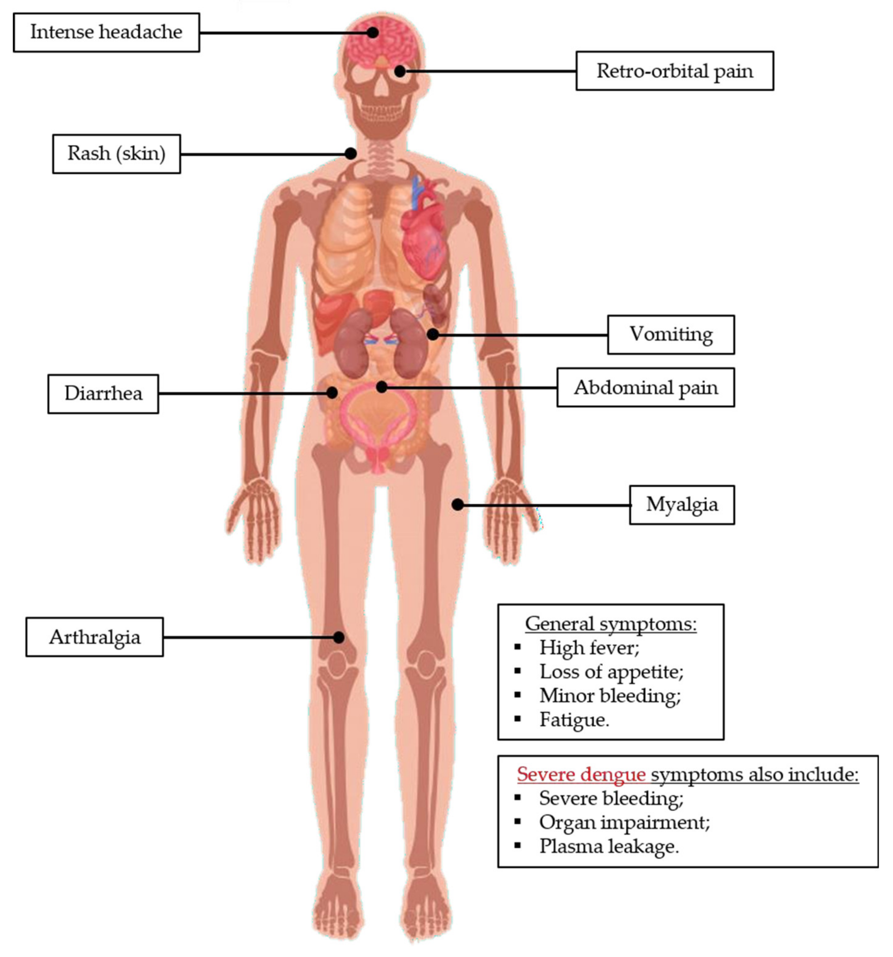Tropicalmed 05 00150 g005