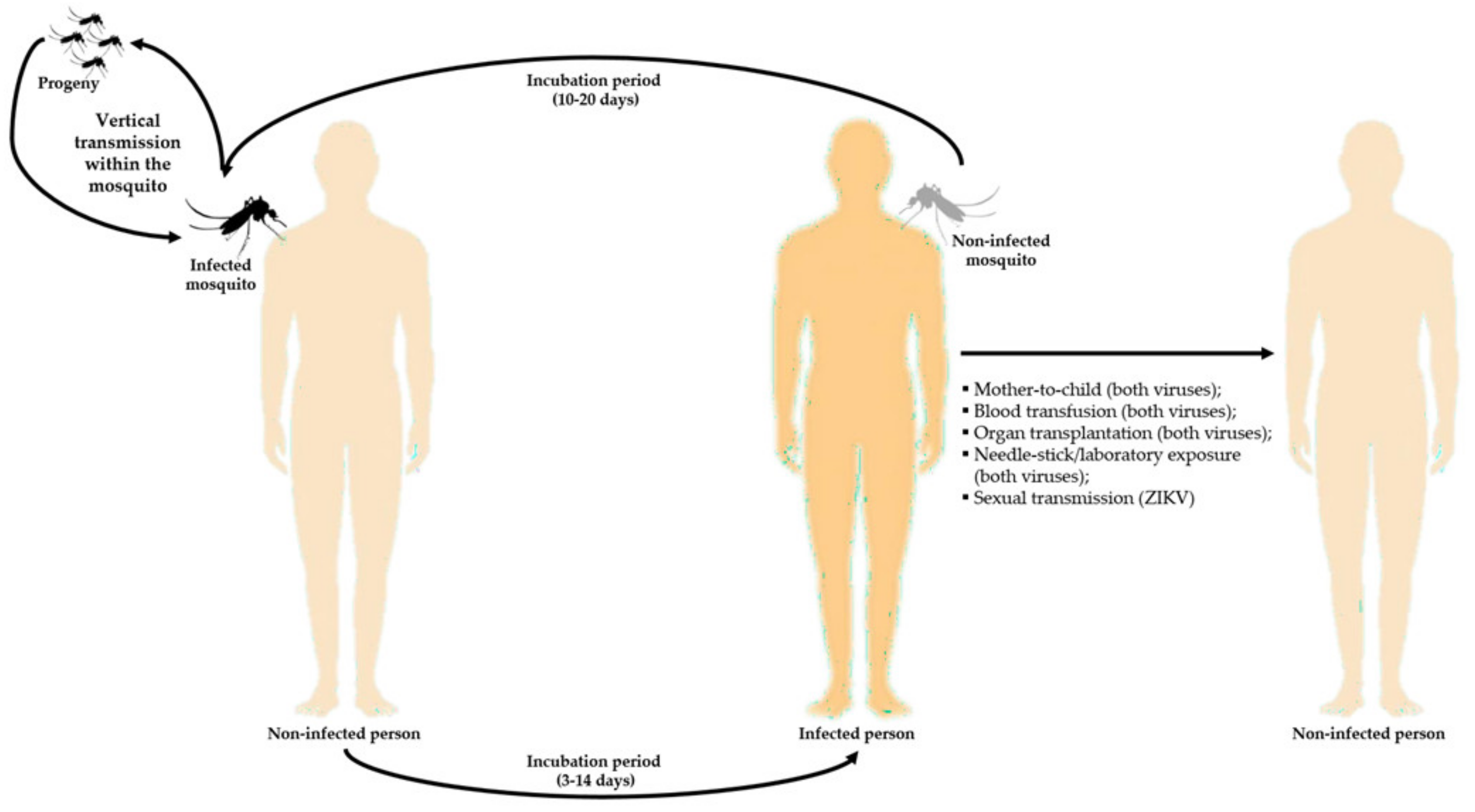 Tropicalmed 05 00150 g007