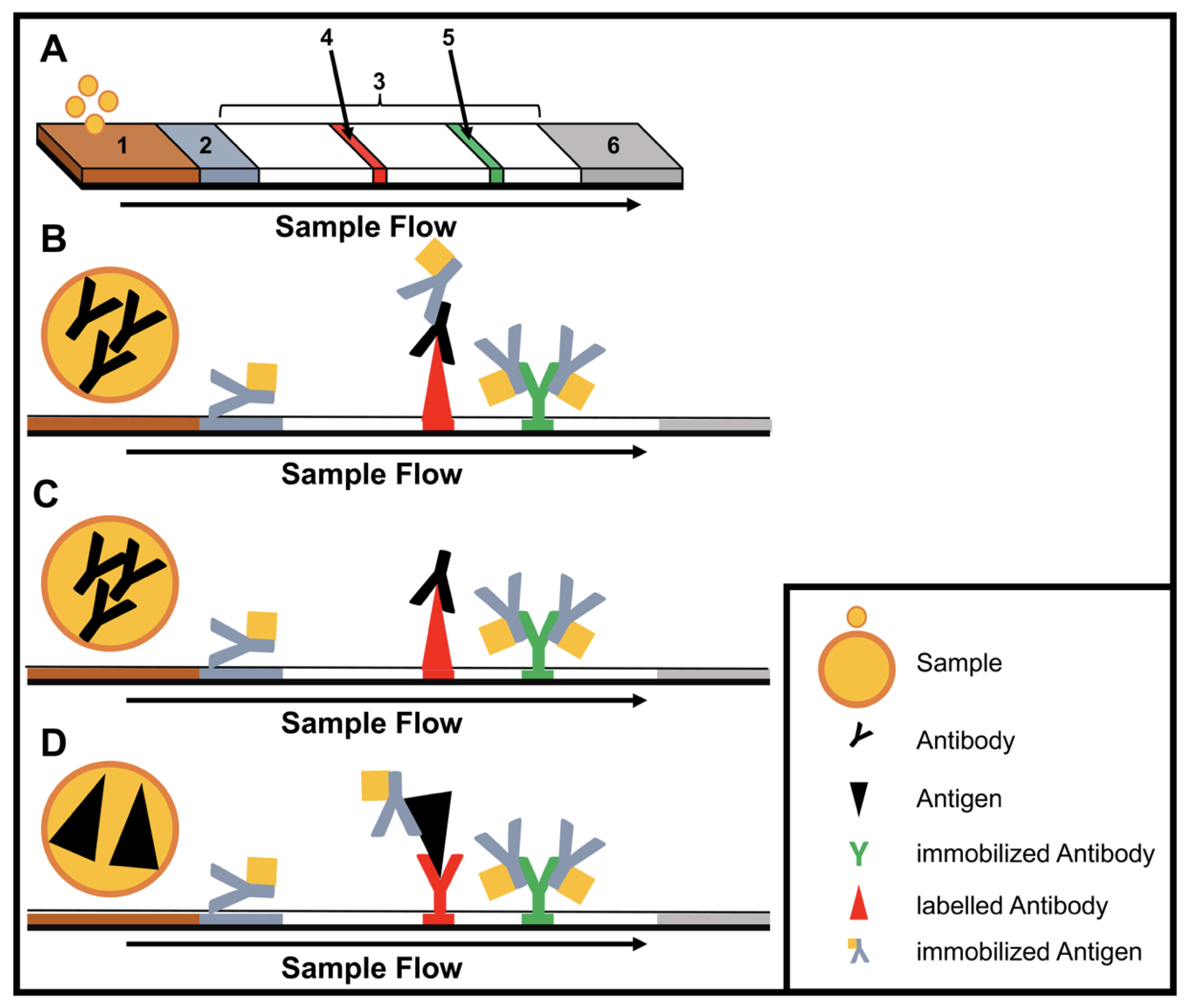 Tropicalmed 05 00151 g001