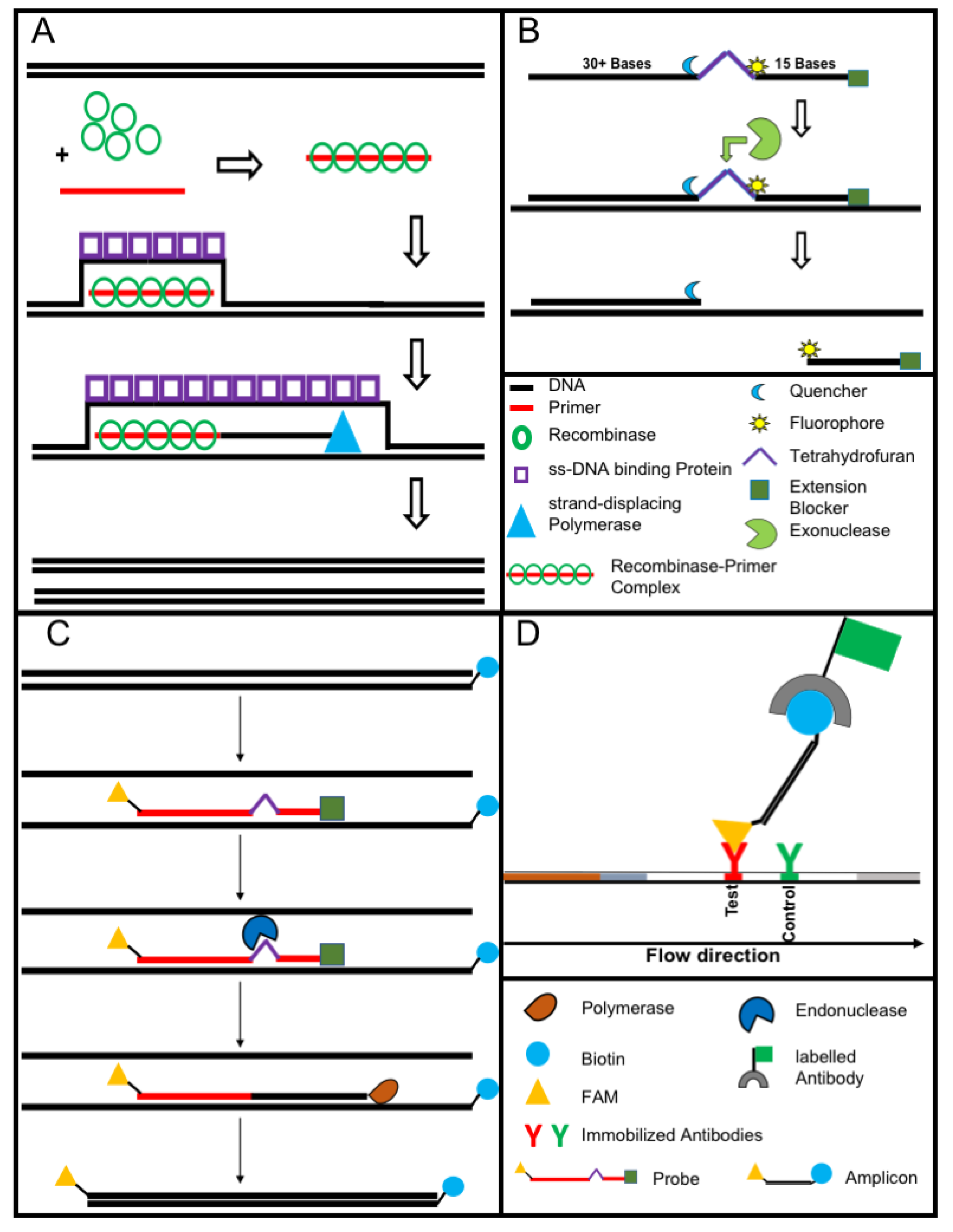 Tropicalmed 05 00151 g003