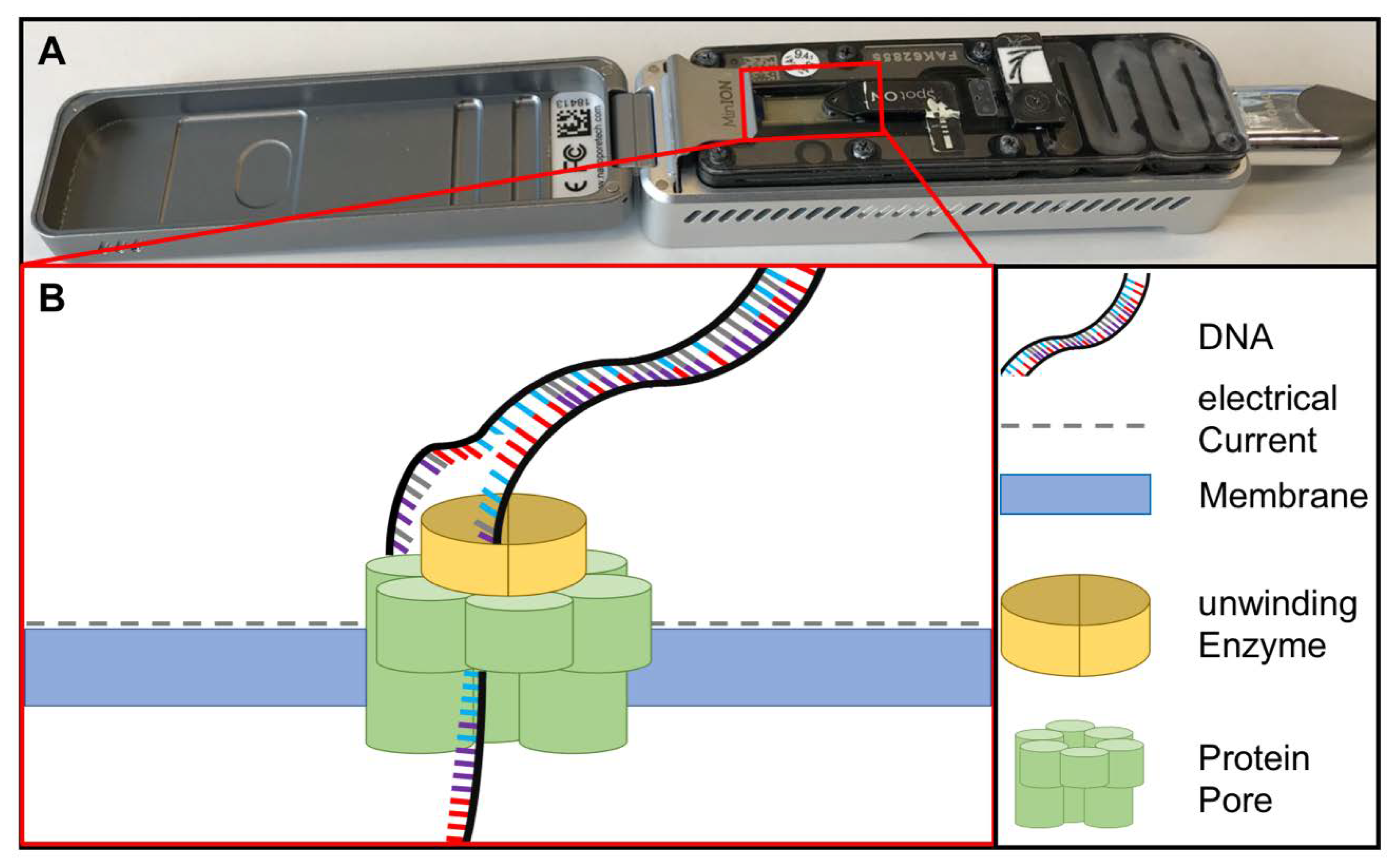 Tropicalmed 05 00151 g004