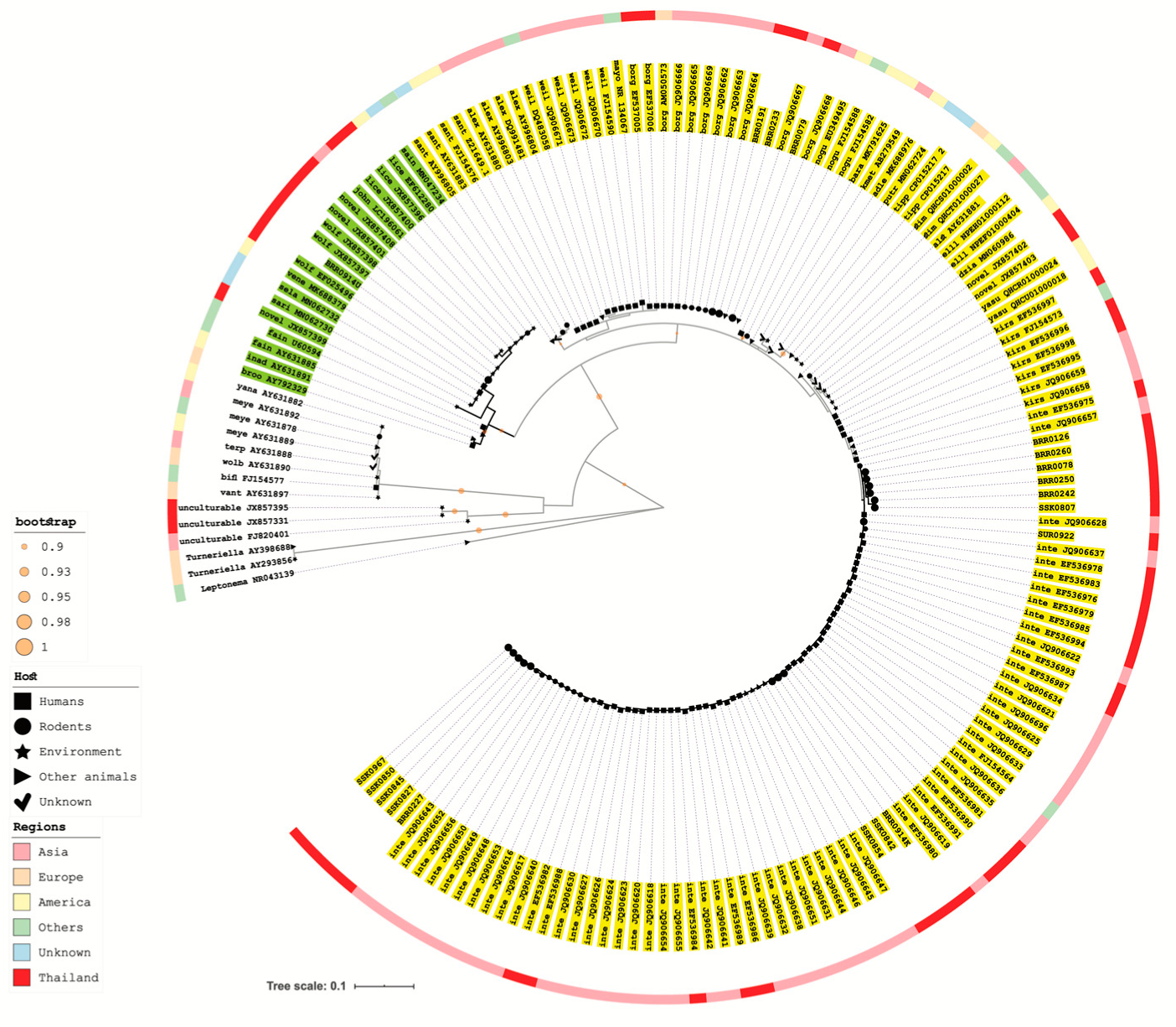 Tropicalmed 05 00154 g002