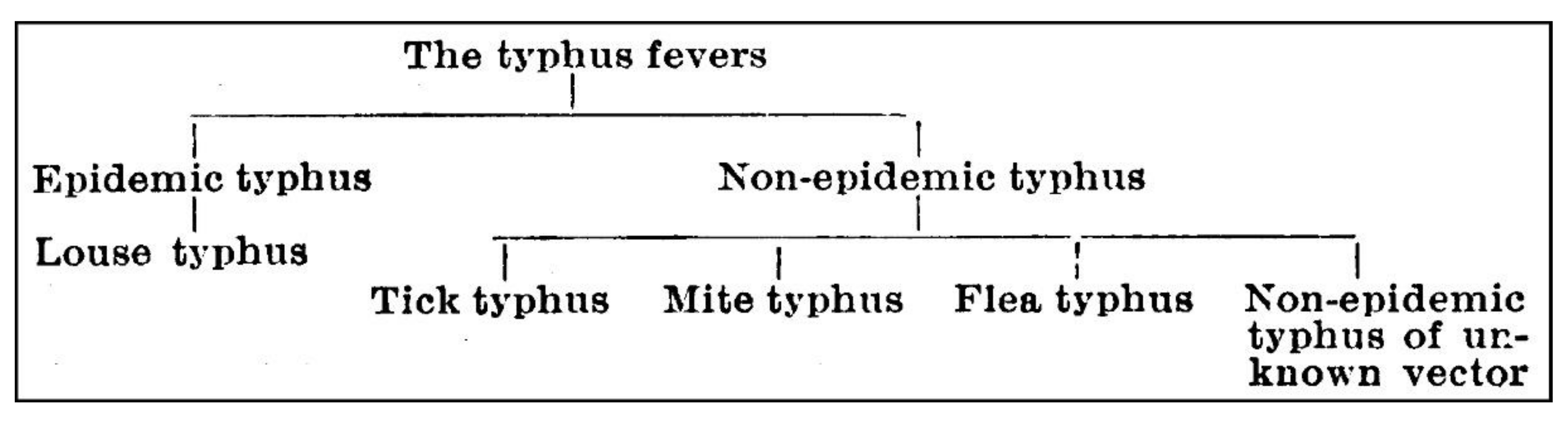 Tropicalmed 05 00165 g001