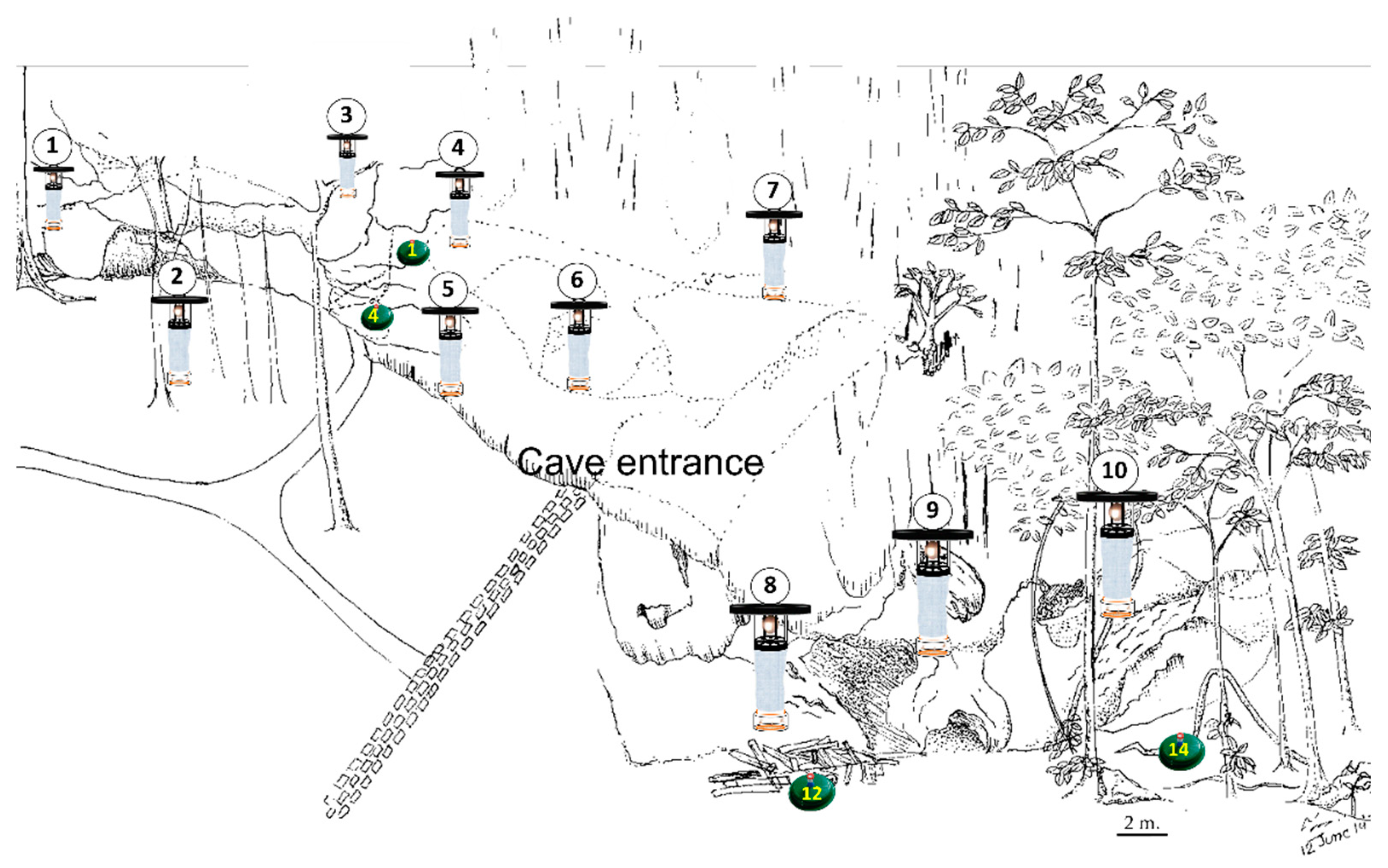 Tropicalmed 05 00174 g001