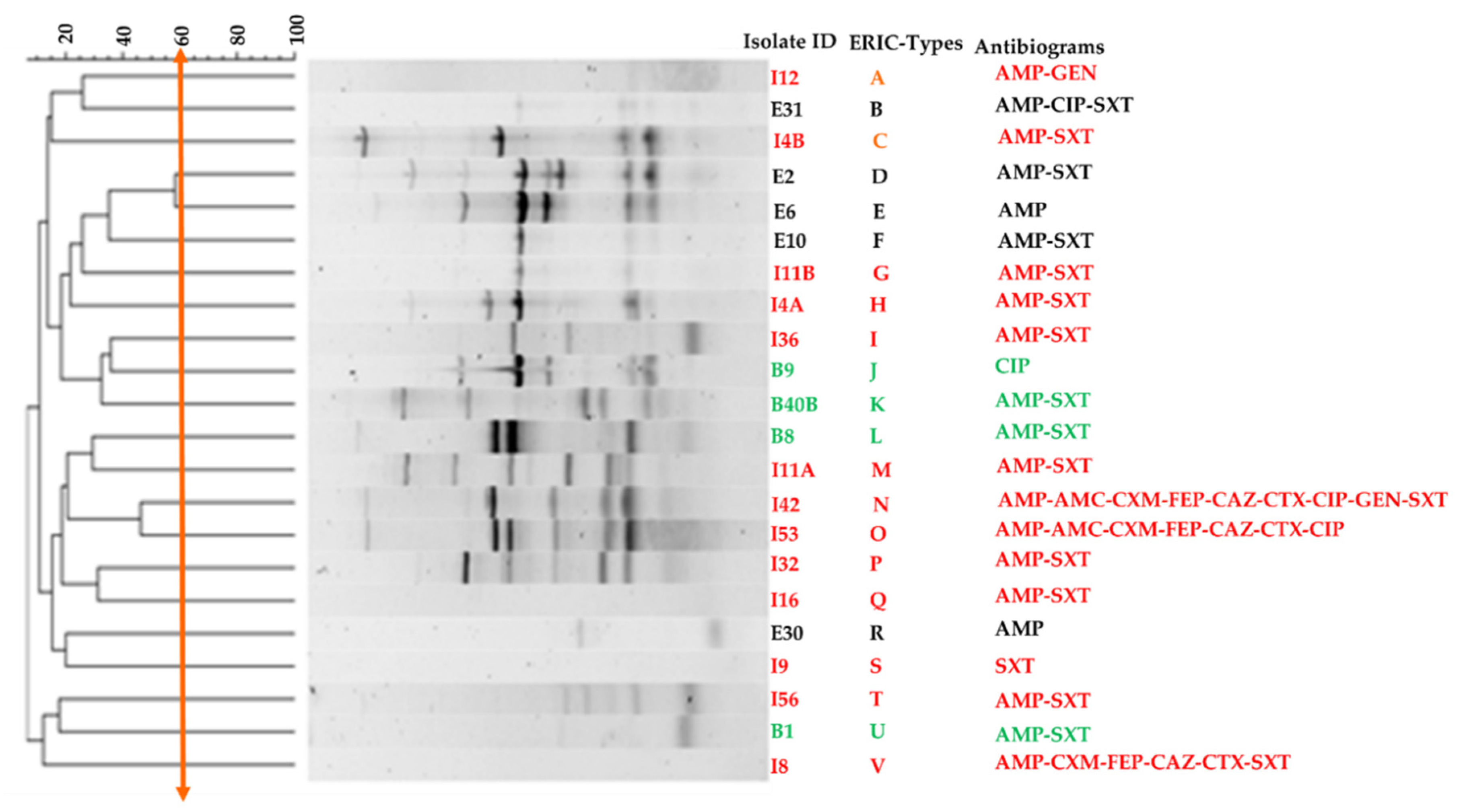 Tropicalmed 05 00176 g003