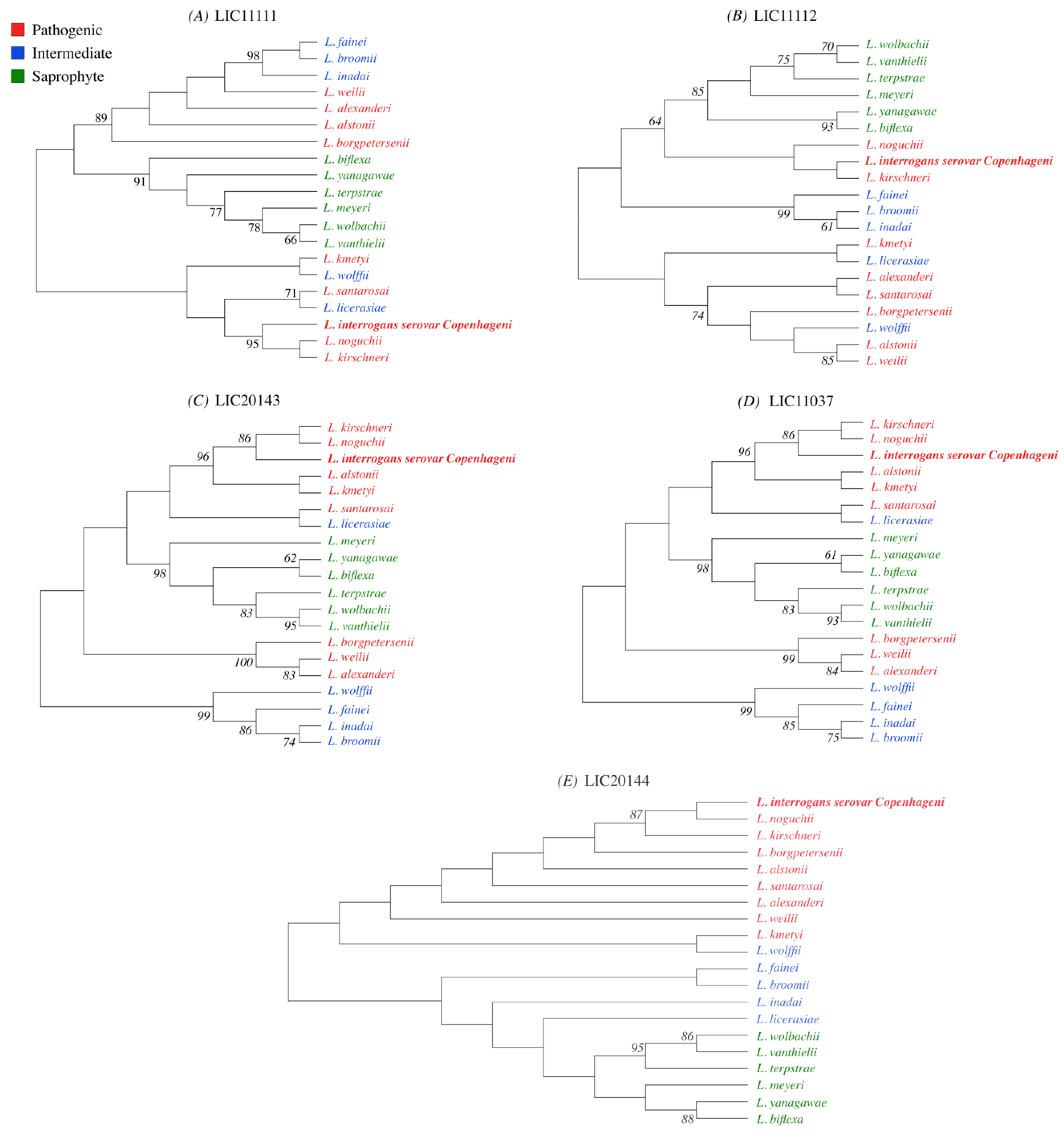 Tropicalmed 05 00179 g001