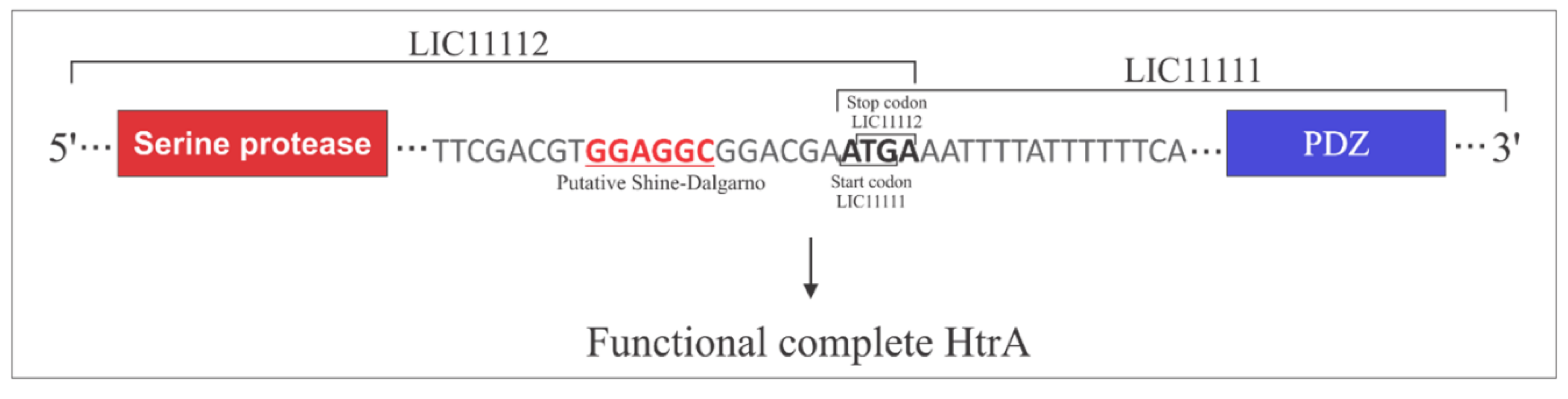 Tropicalmed 05 00179 g006