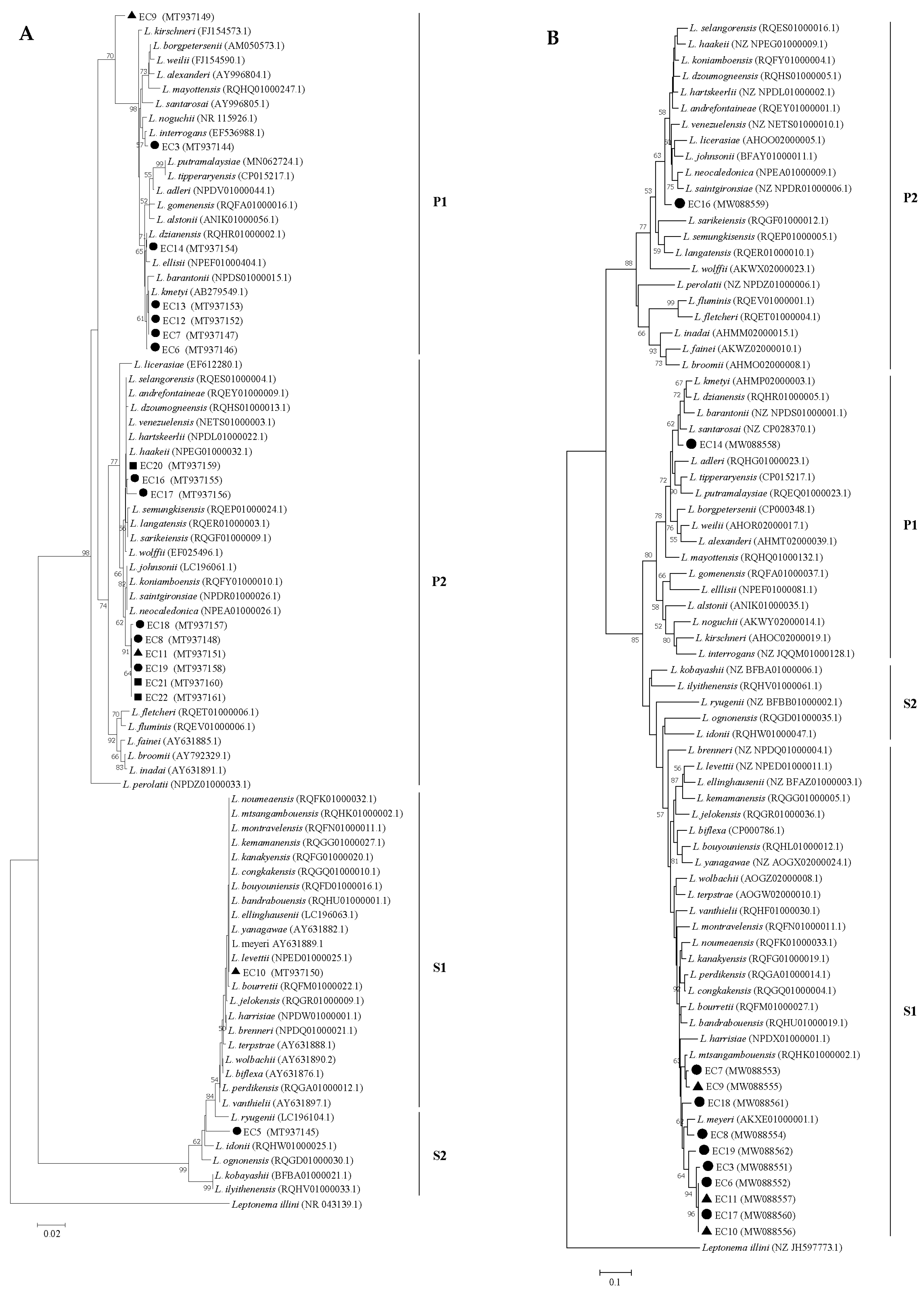 Tropicalmed 05 00183 g002