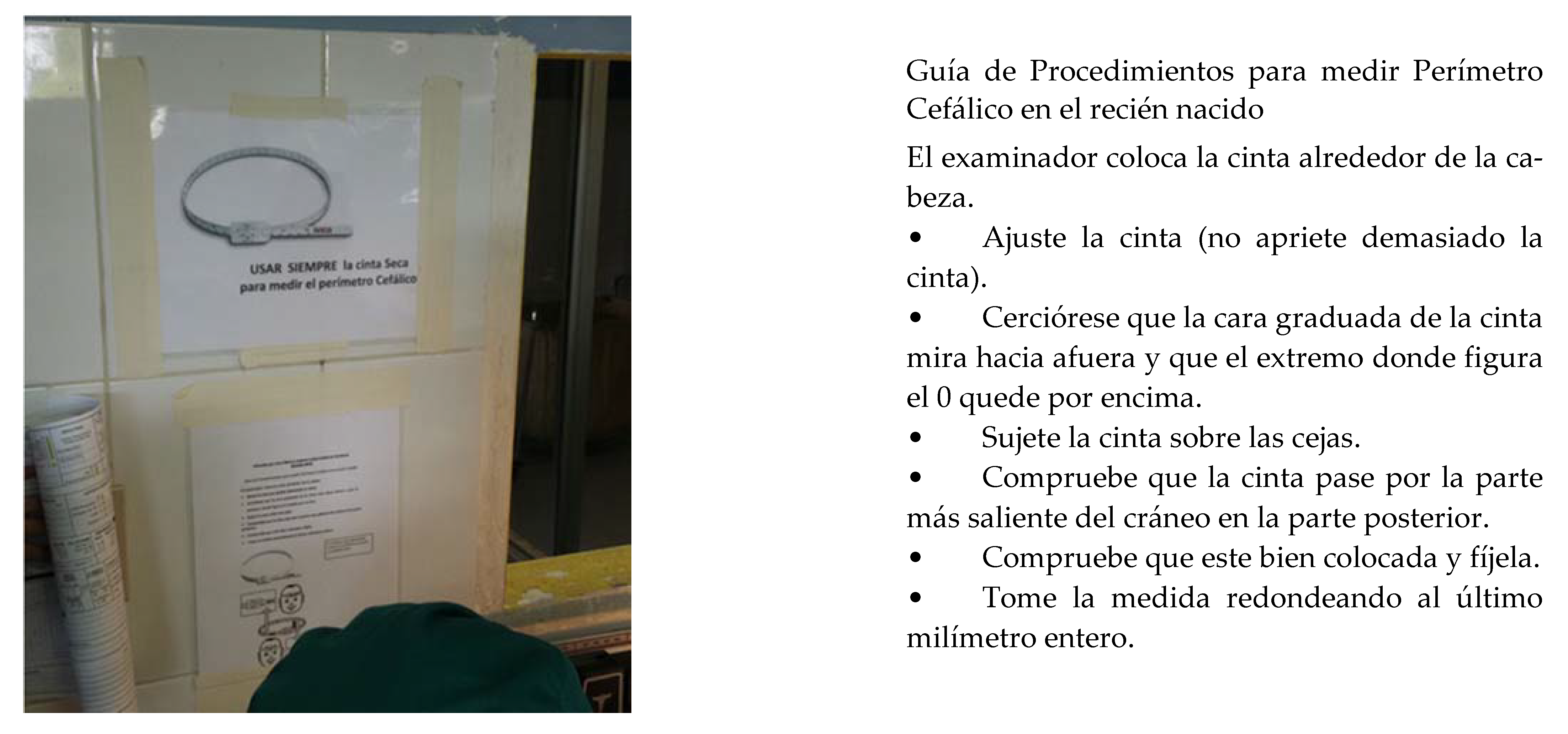 Tropicalmed 06 00005 g001a Tropicalmed 06 00005 g001a