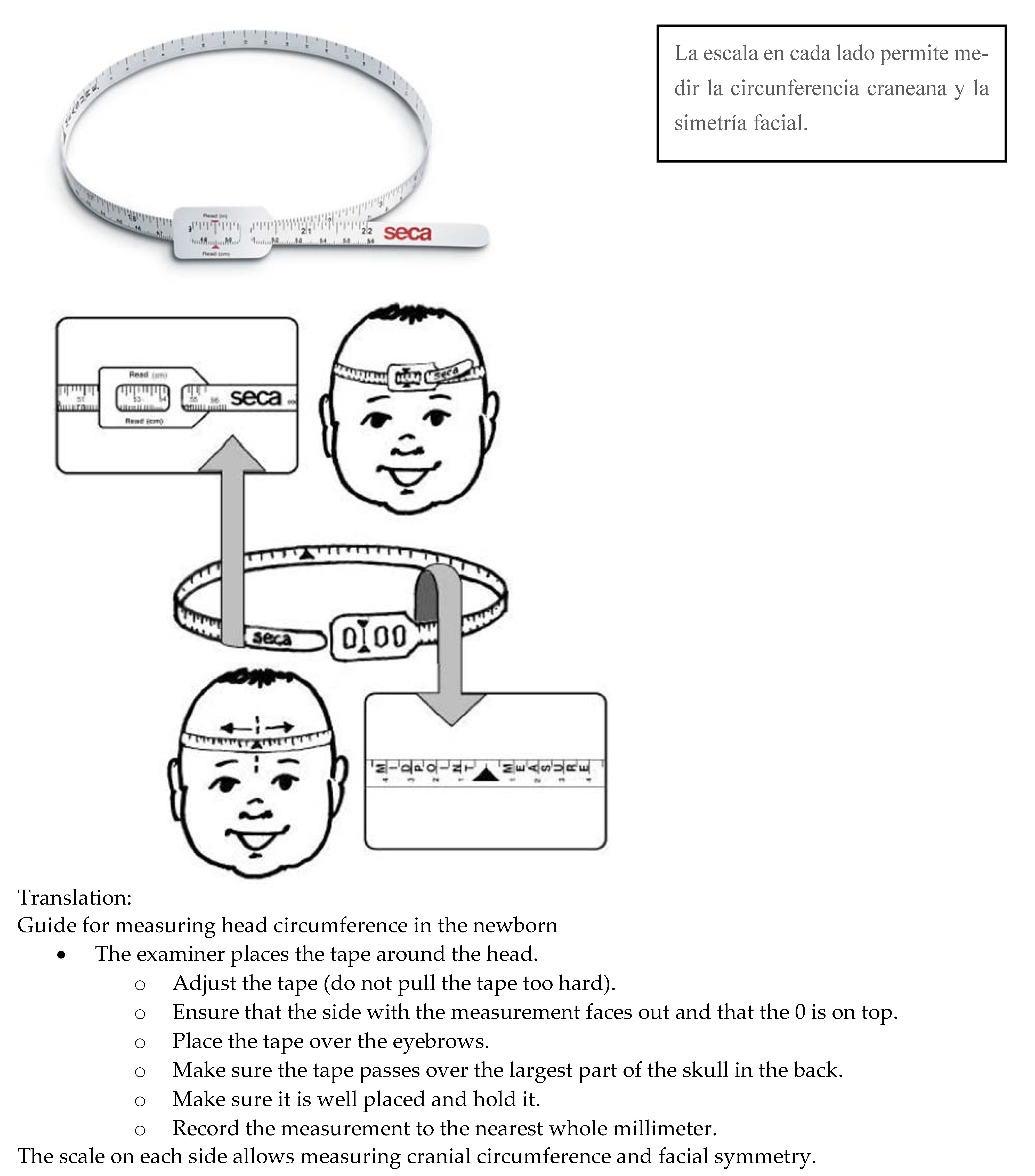Tropicalmed 06 00005 g001b Tropicalmed 06 00005 g001b