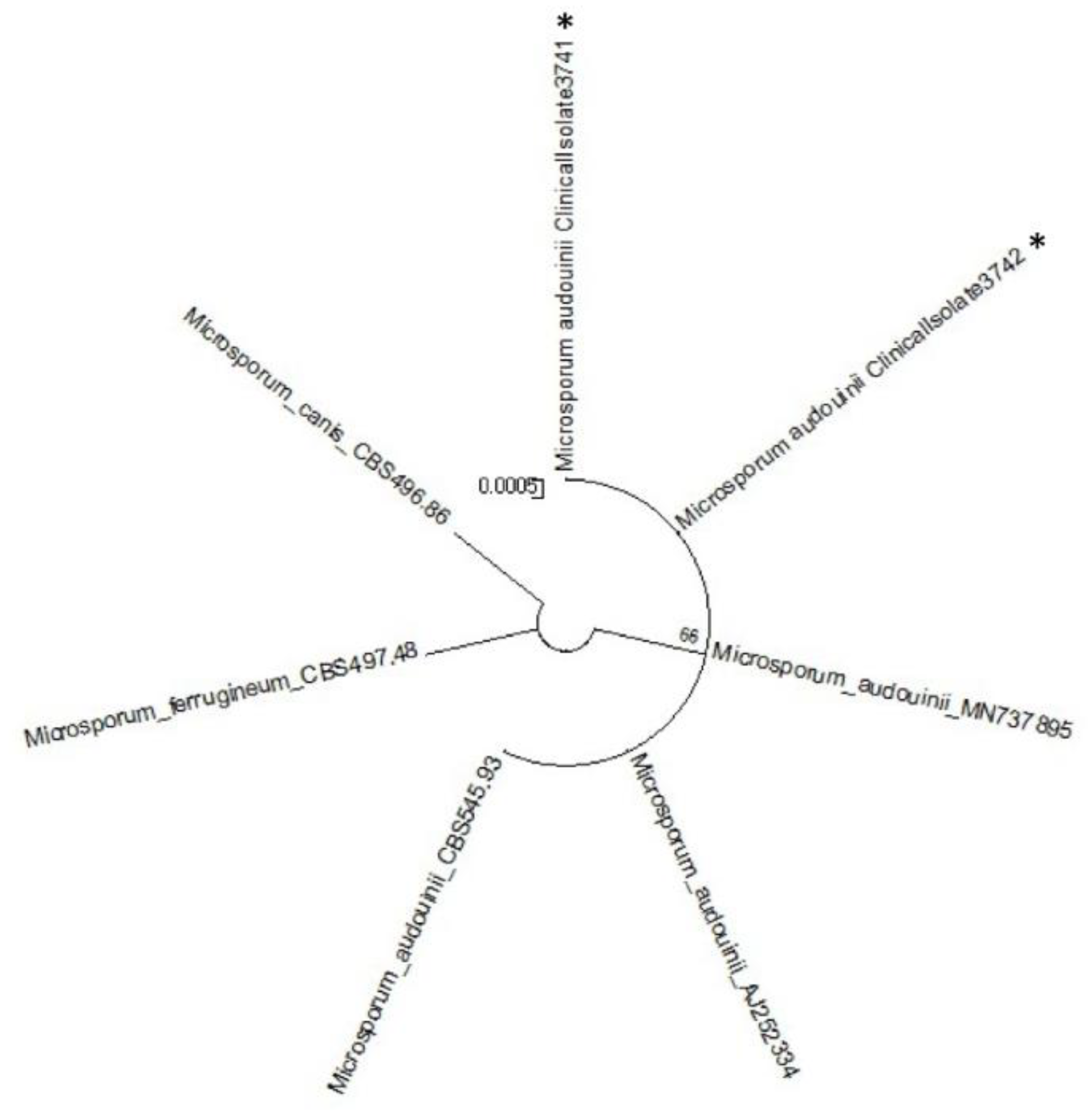 Tropicalmed 06 00009 g005