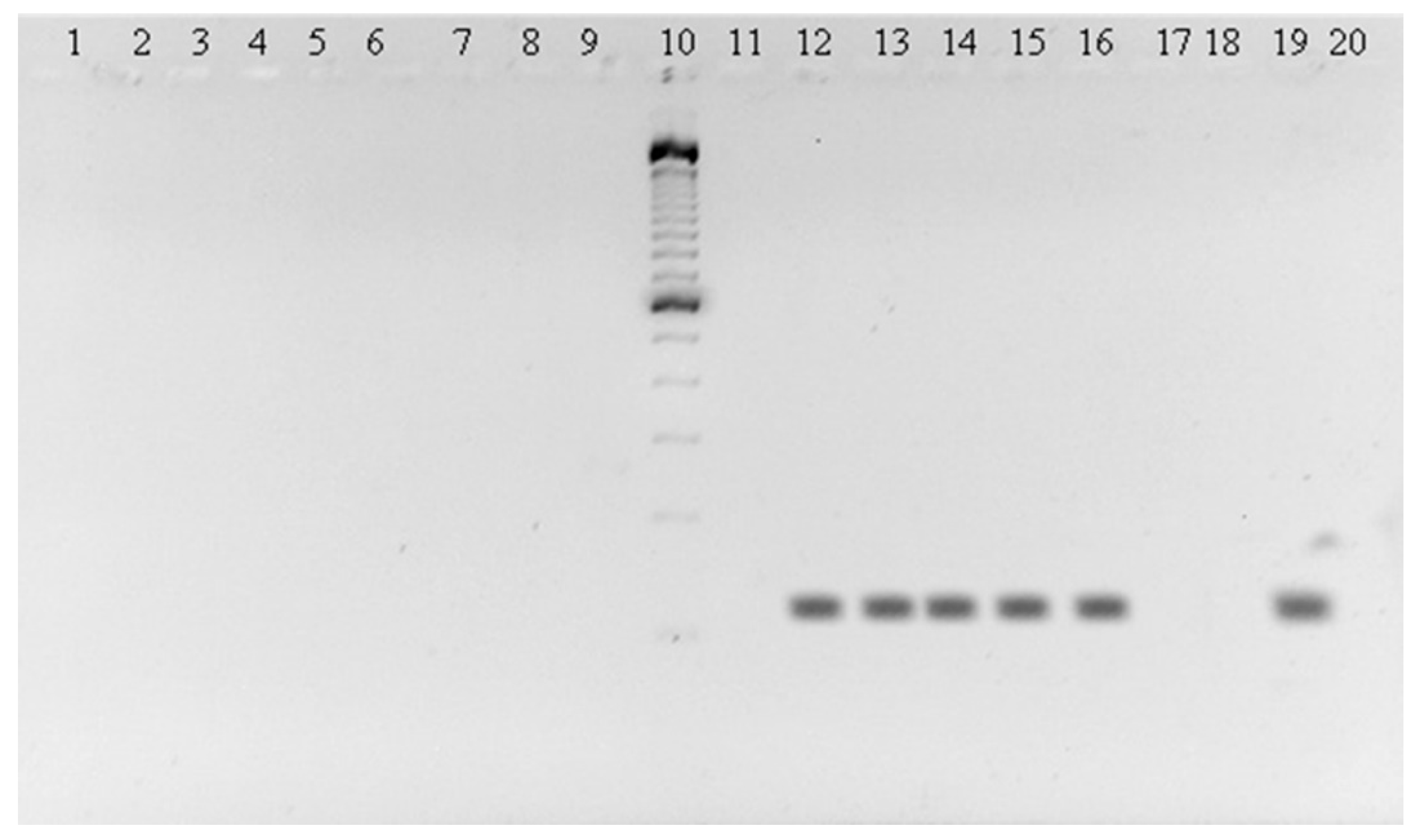 Tropicalmed 06 00035 g001