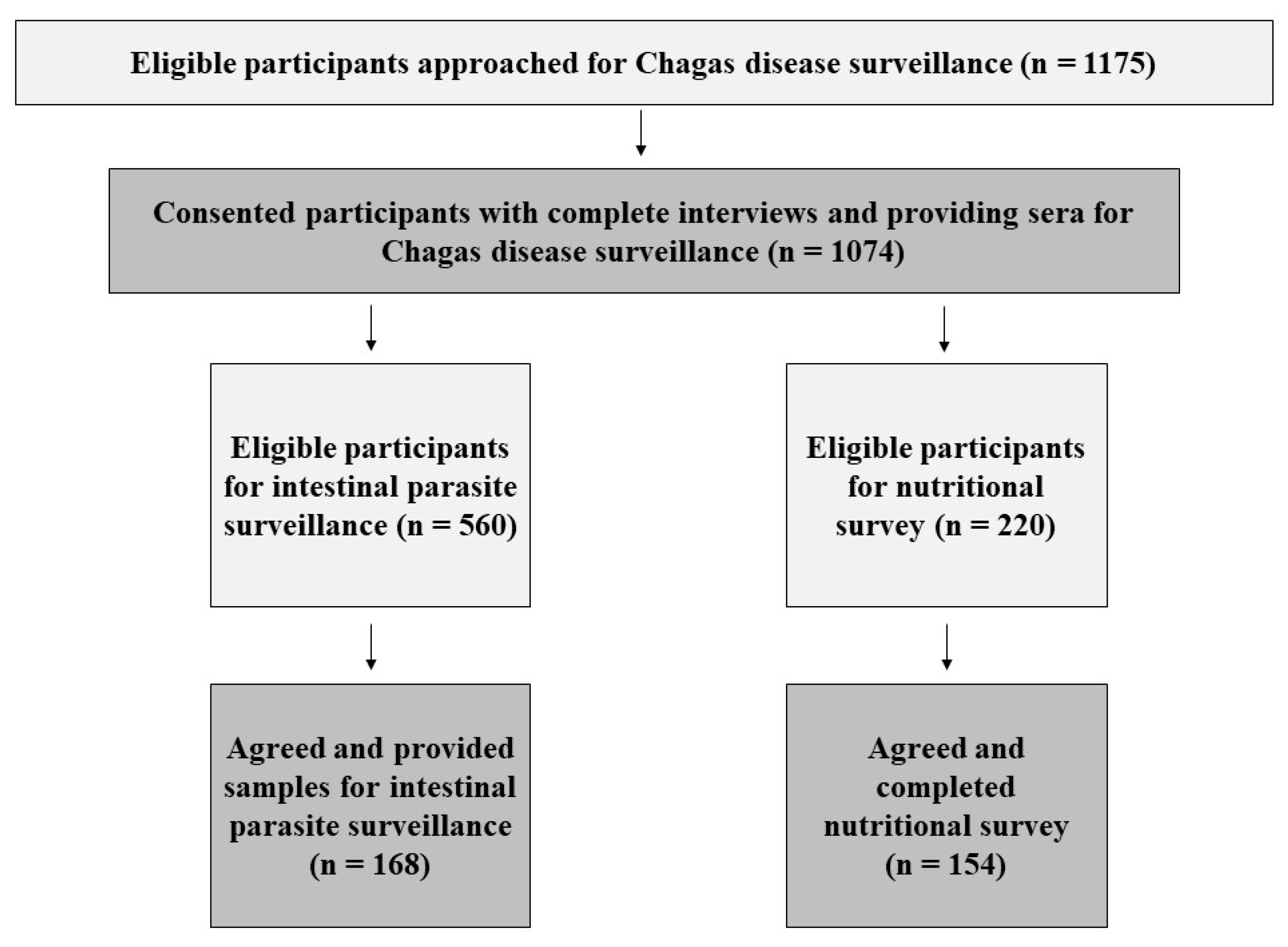 Tropicalmed 06 00072 g001