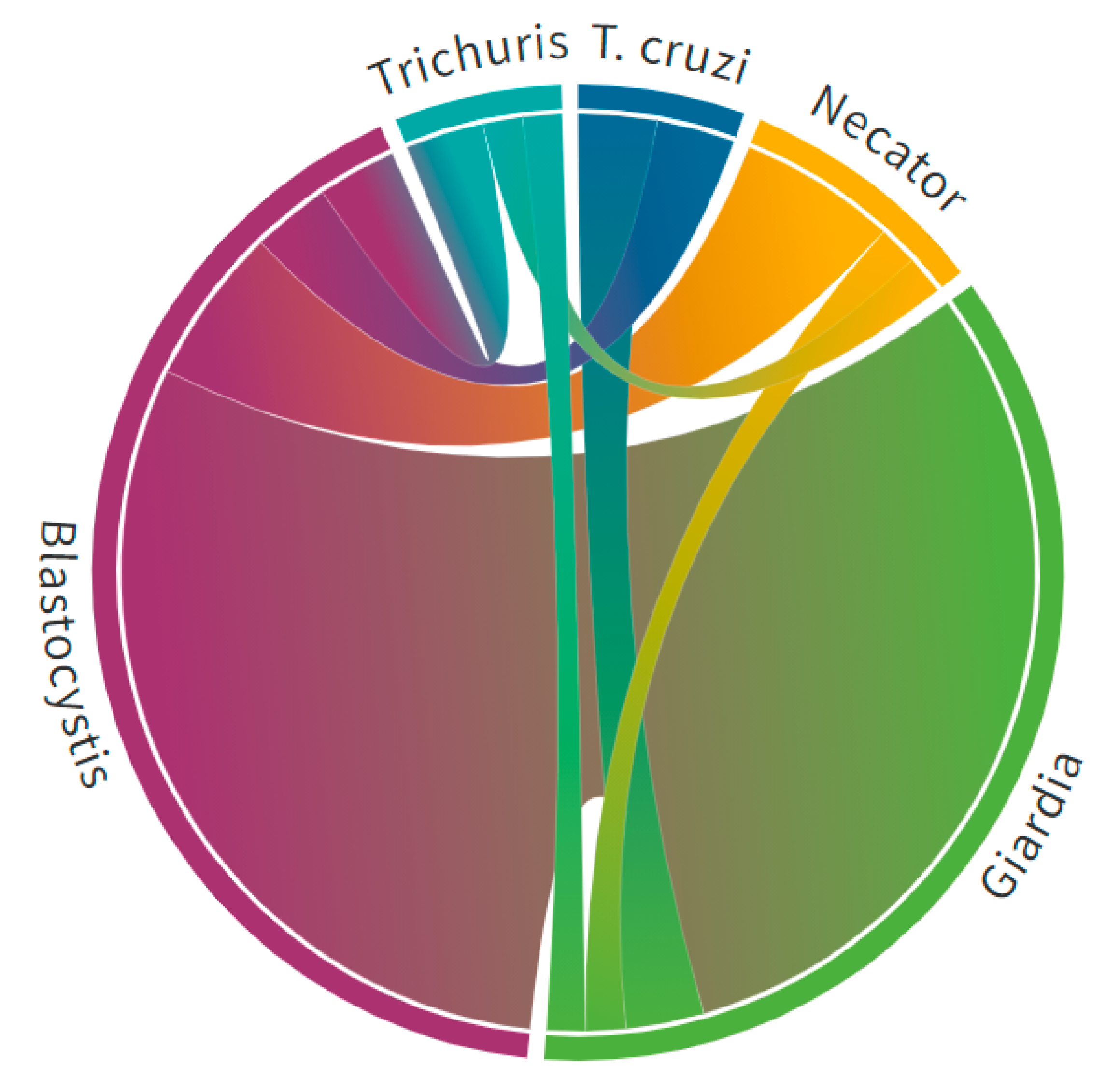 Tropicalmed 06 00072 g004