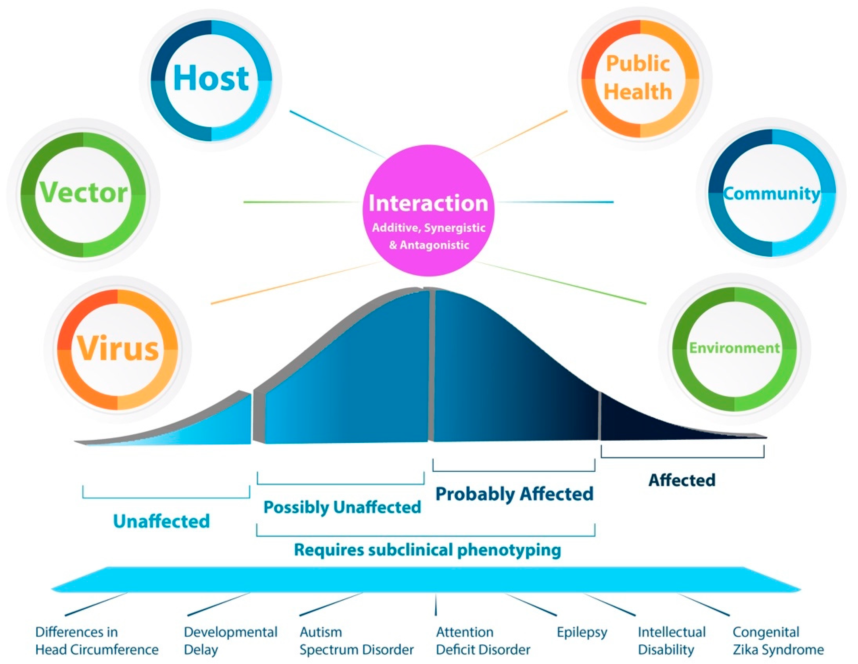 Tropicalmed 06 00095 g001