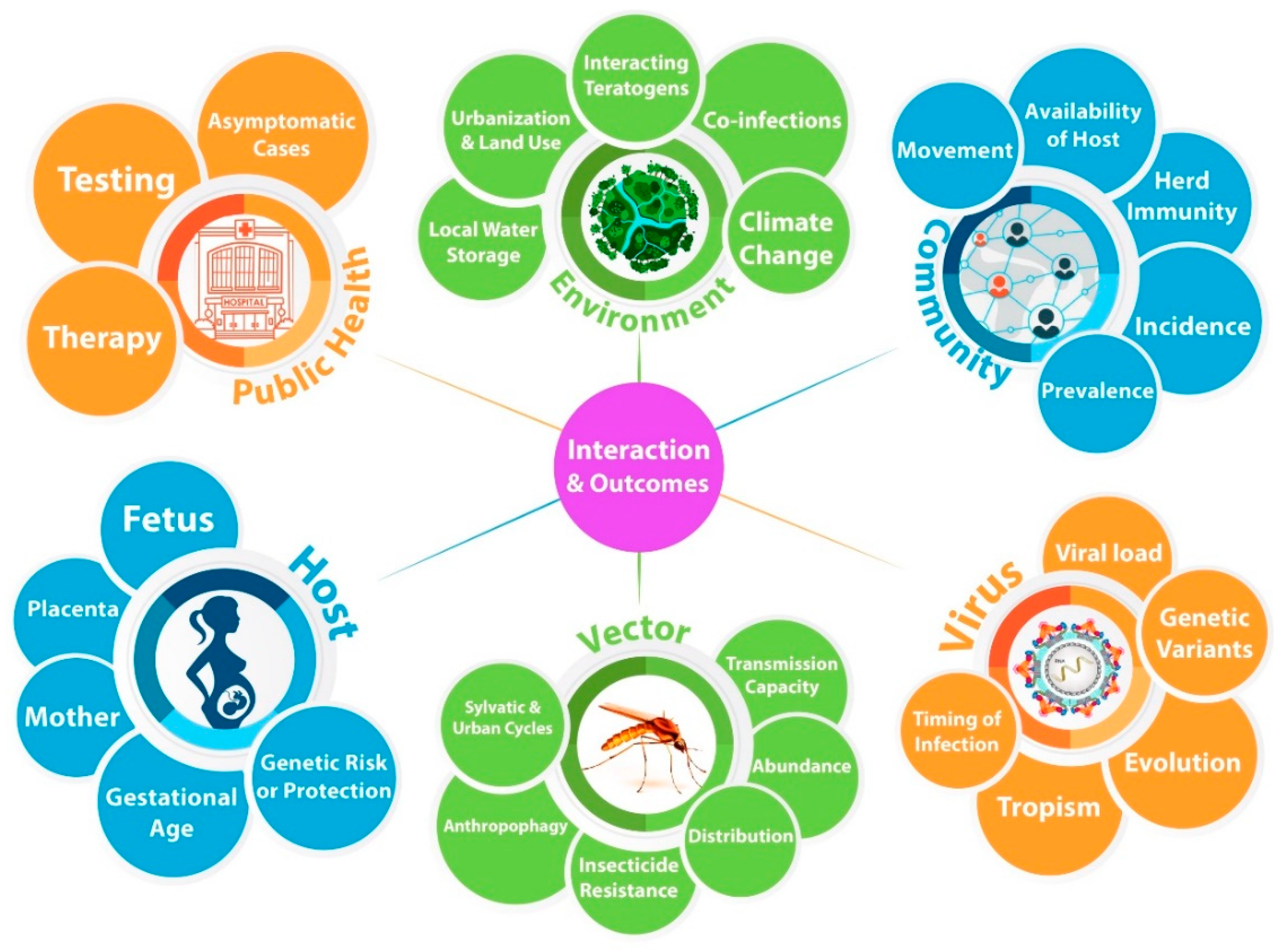 Tropicalmed 06 00095 g002