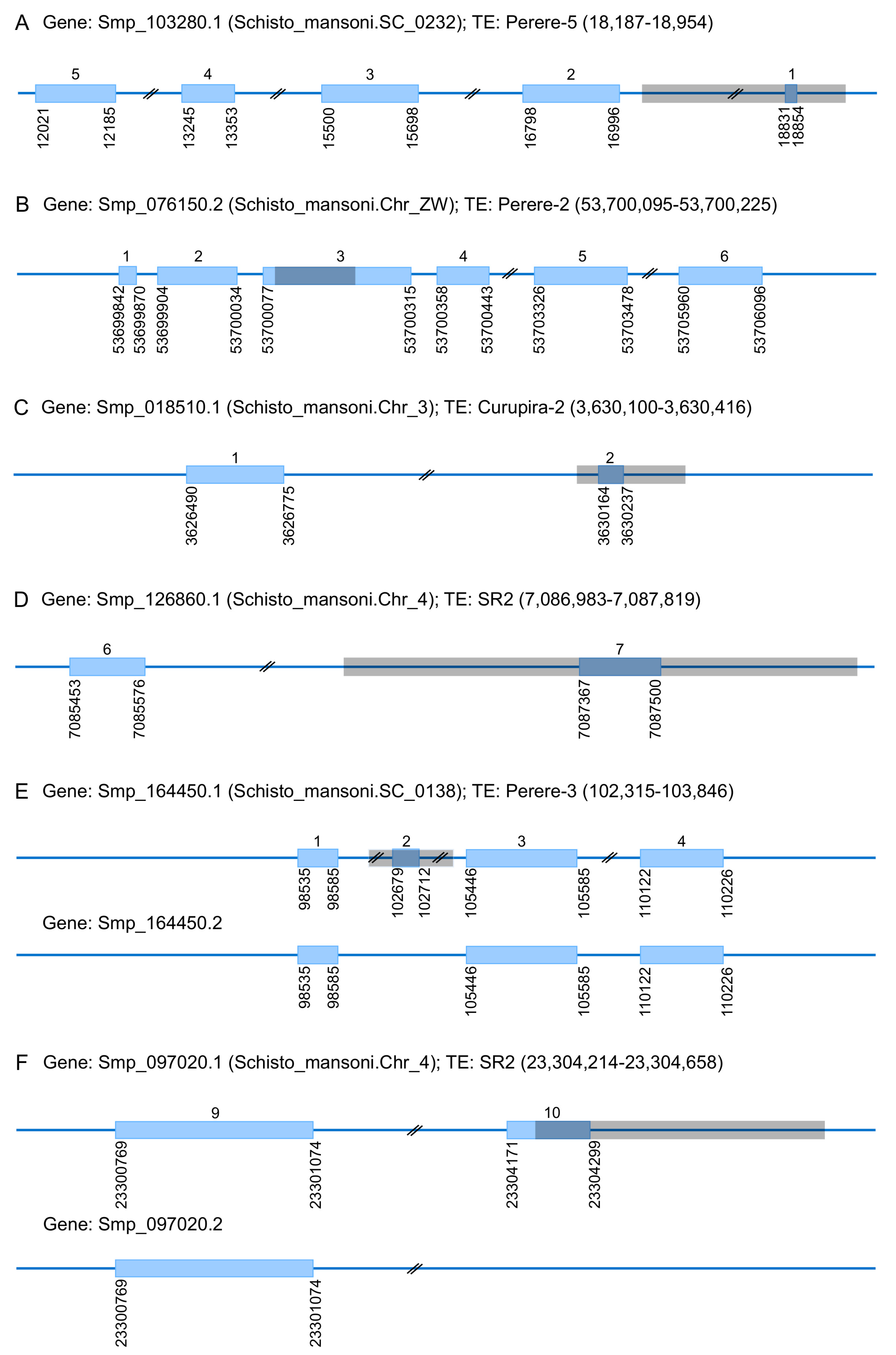 Tropicalmed 06 00126 g001