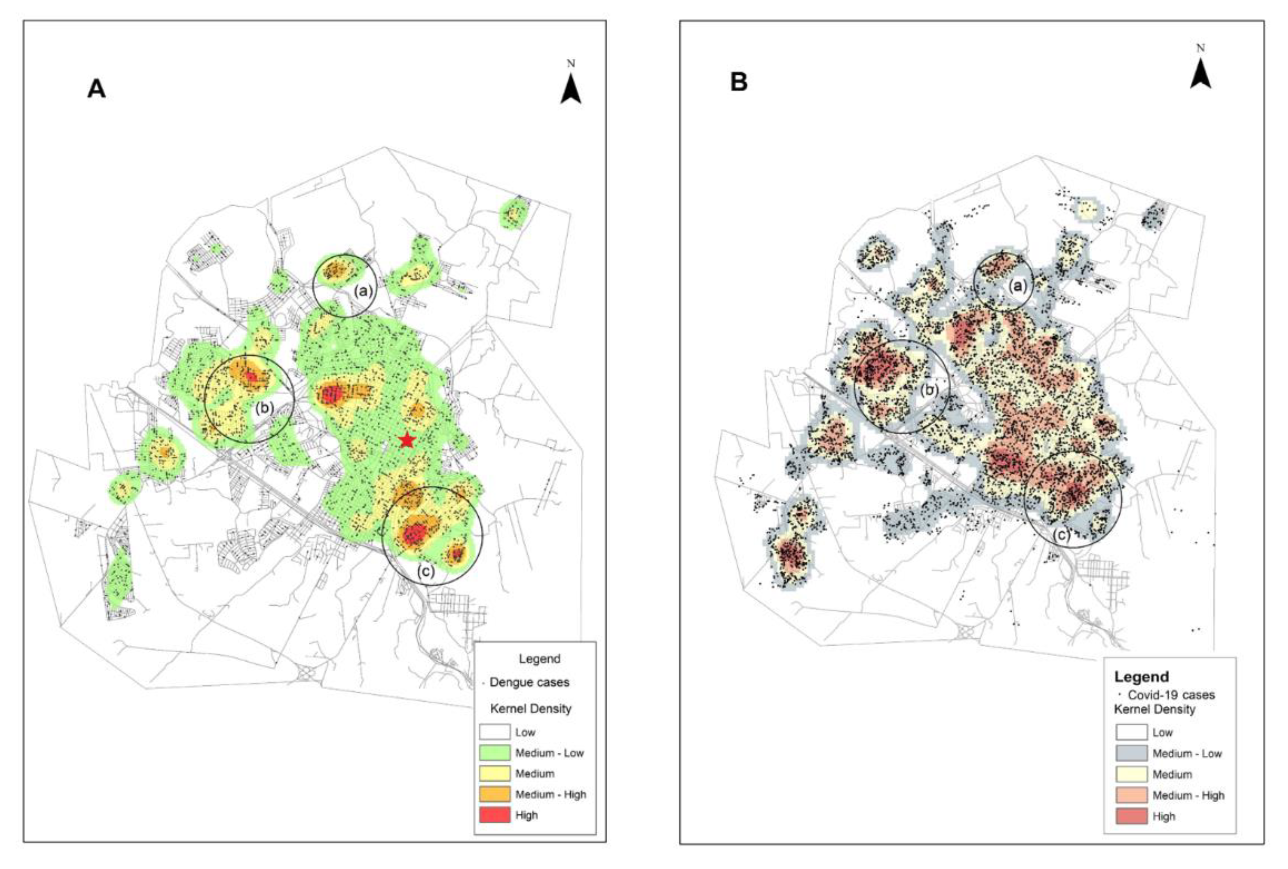 Tropicalmed 06 00156 g002