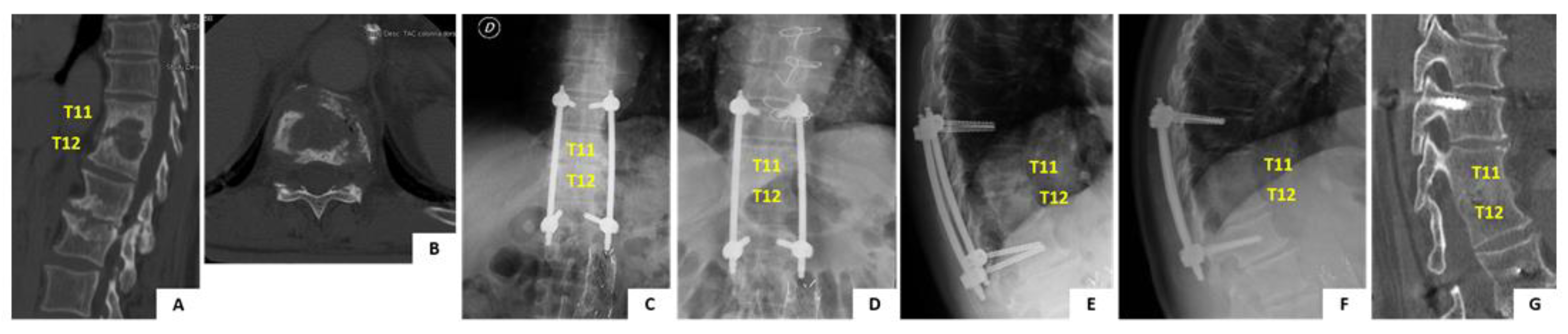 Tropicalmed 06 00159 g005