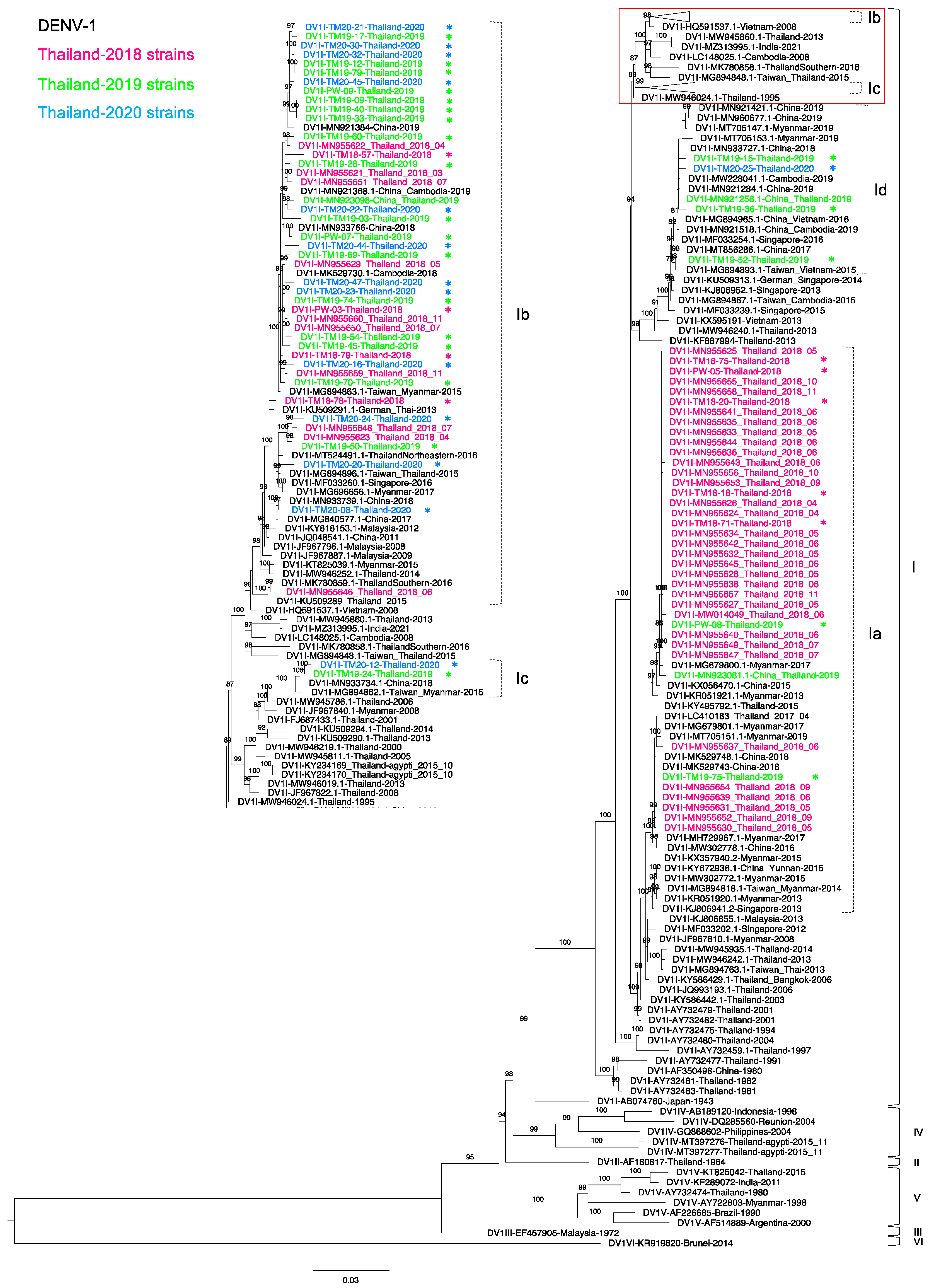 Tropicalmed 06 00162 g001