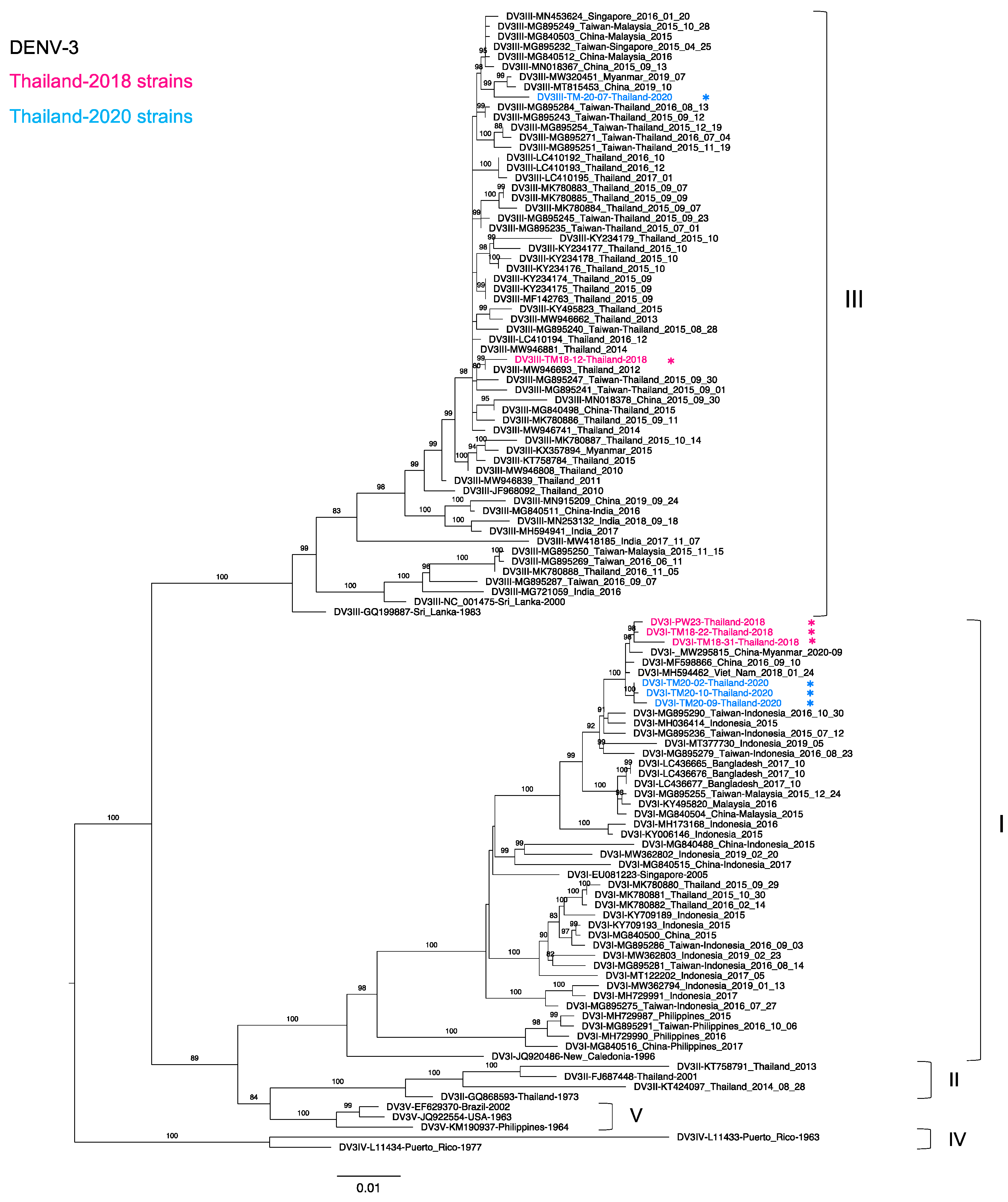 Tropicalmed 06 00162 g003