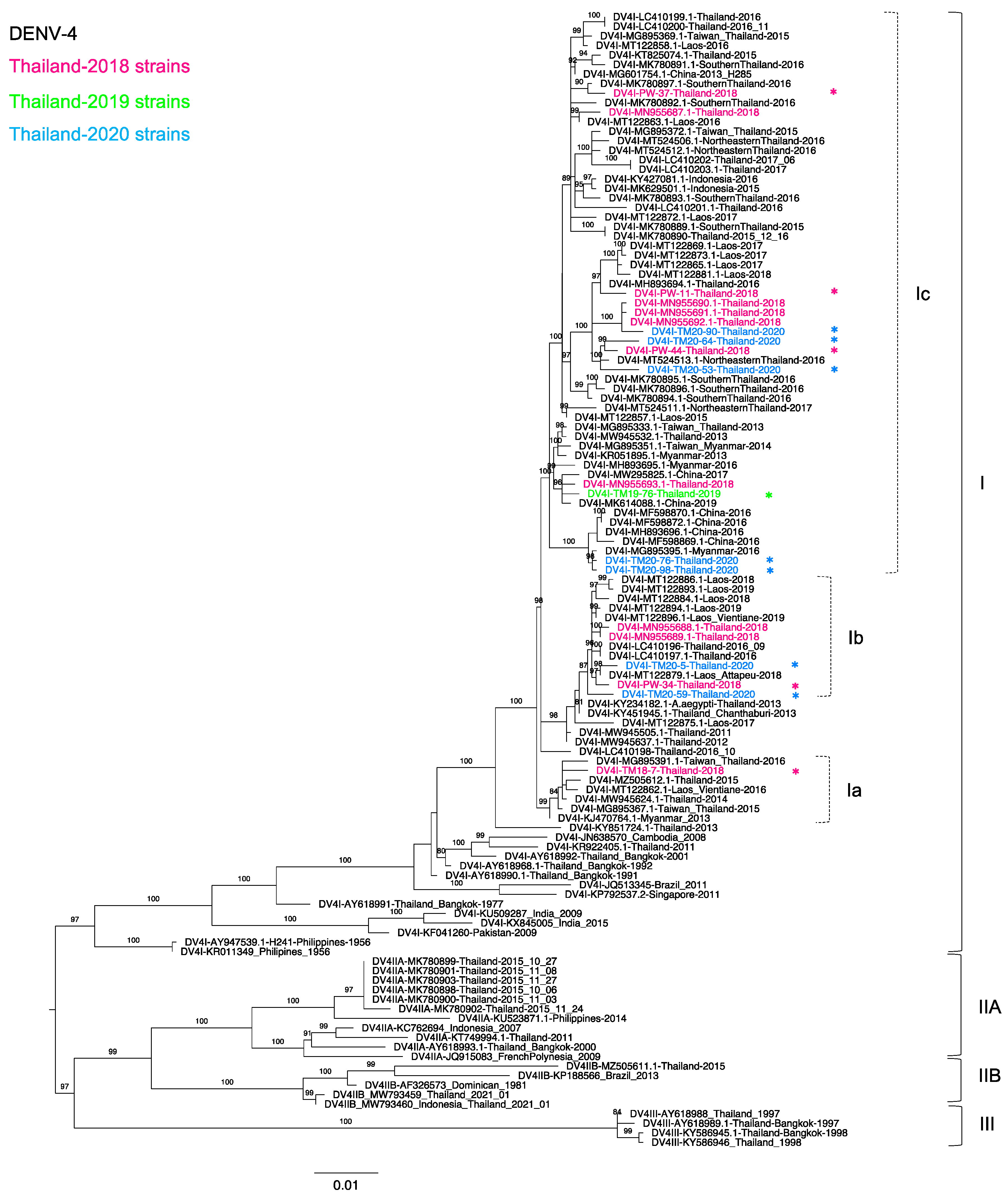 Tropicalmed 06 00162 g004