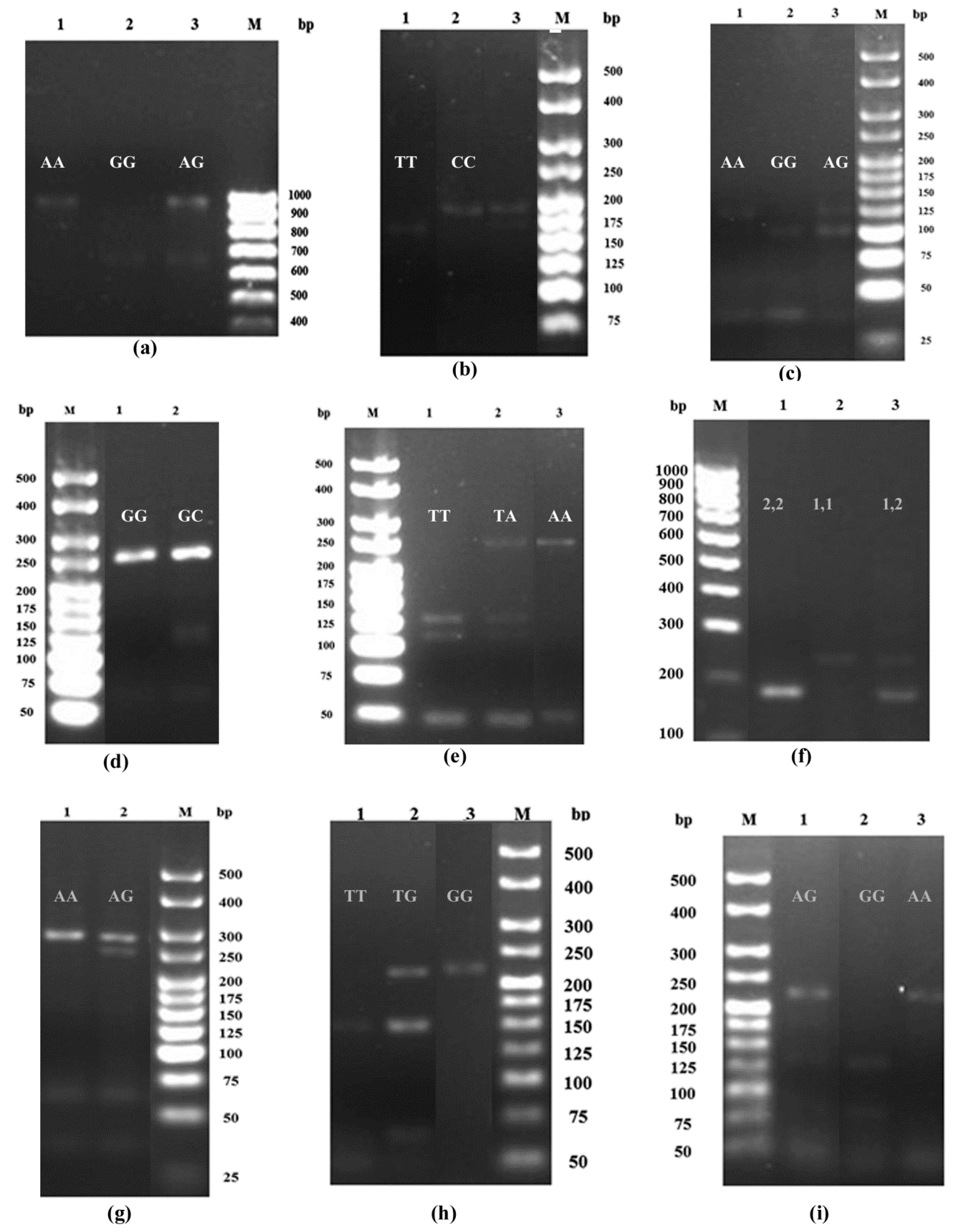 Tropicalmed 06 00174 g001