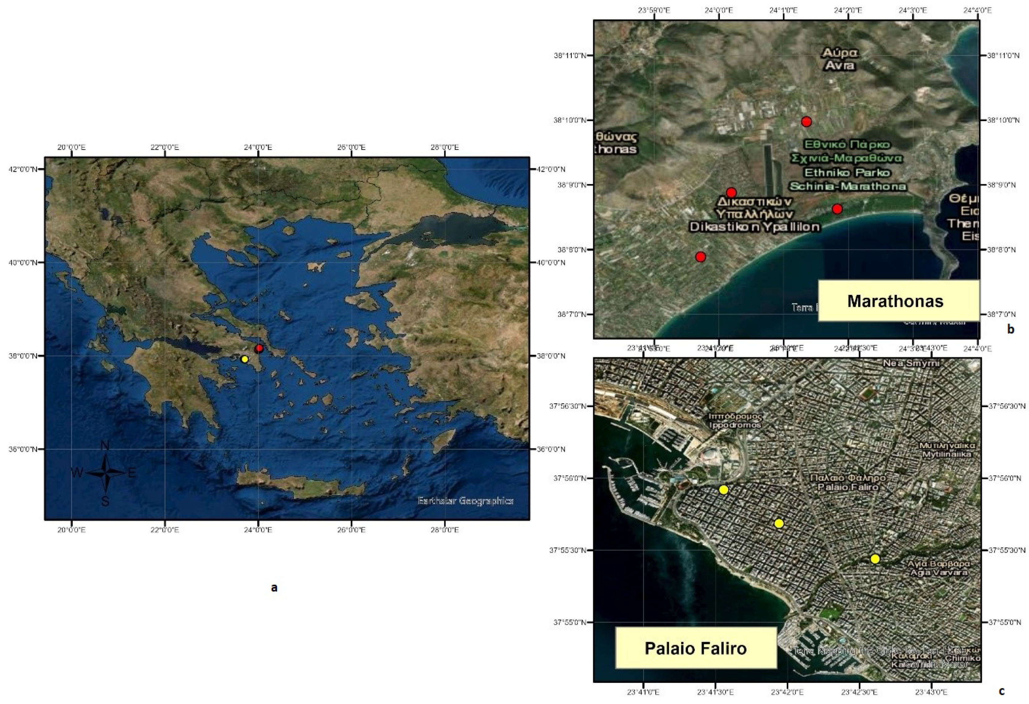 Tropicalmed 06 00176 g001