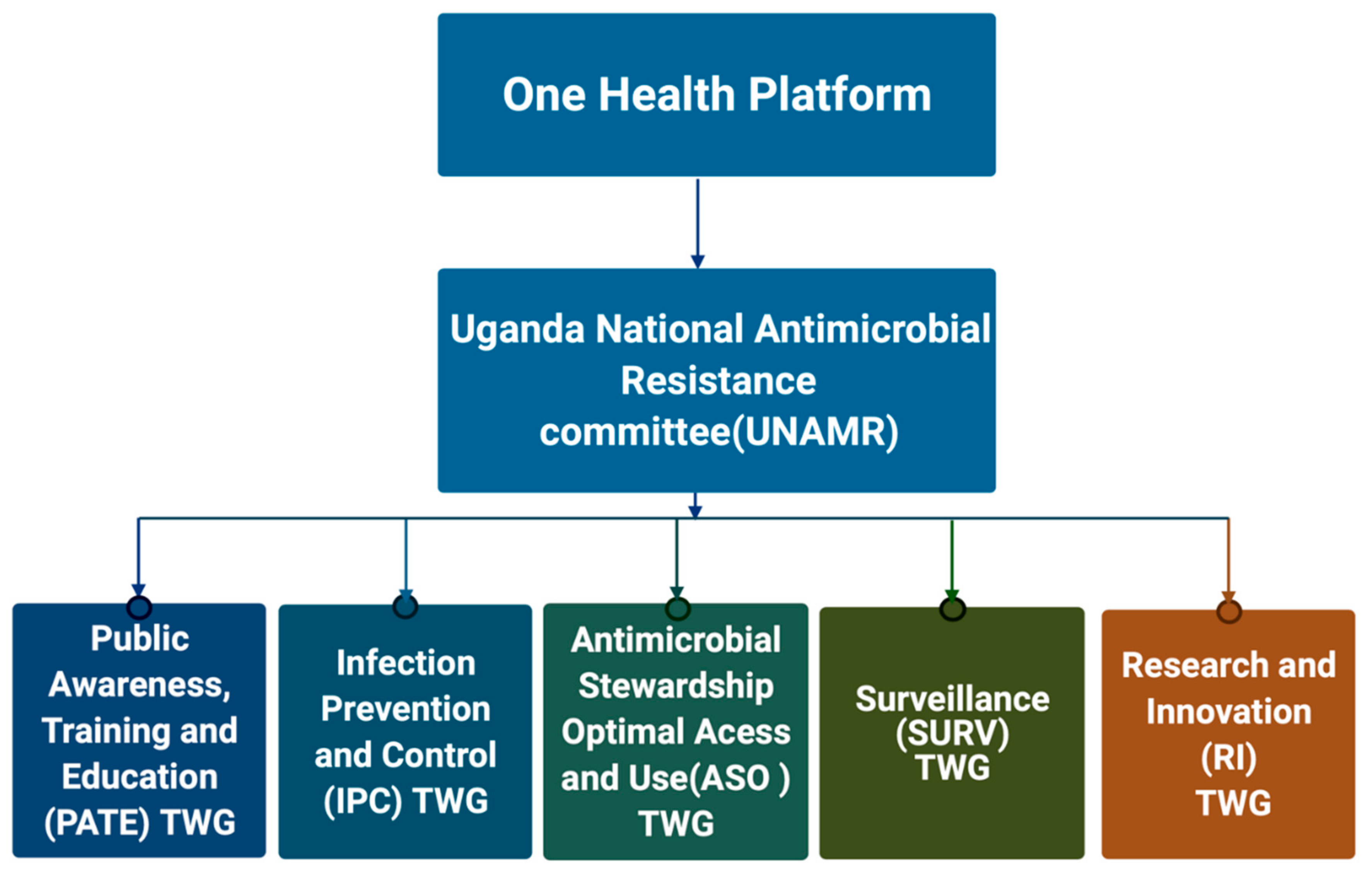 Tropicalmed 06 00178 g001