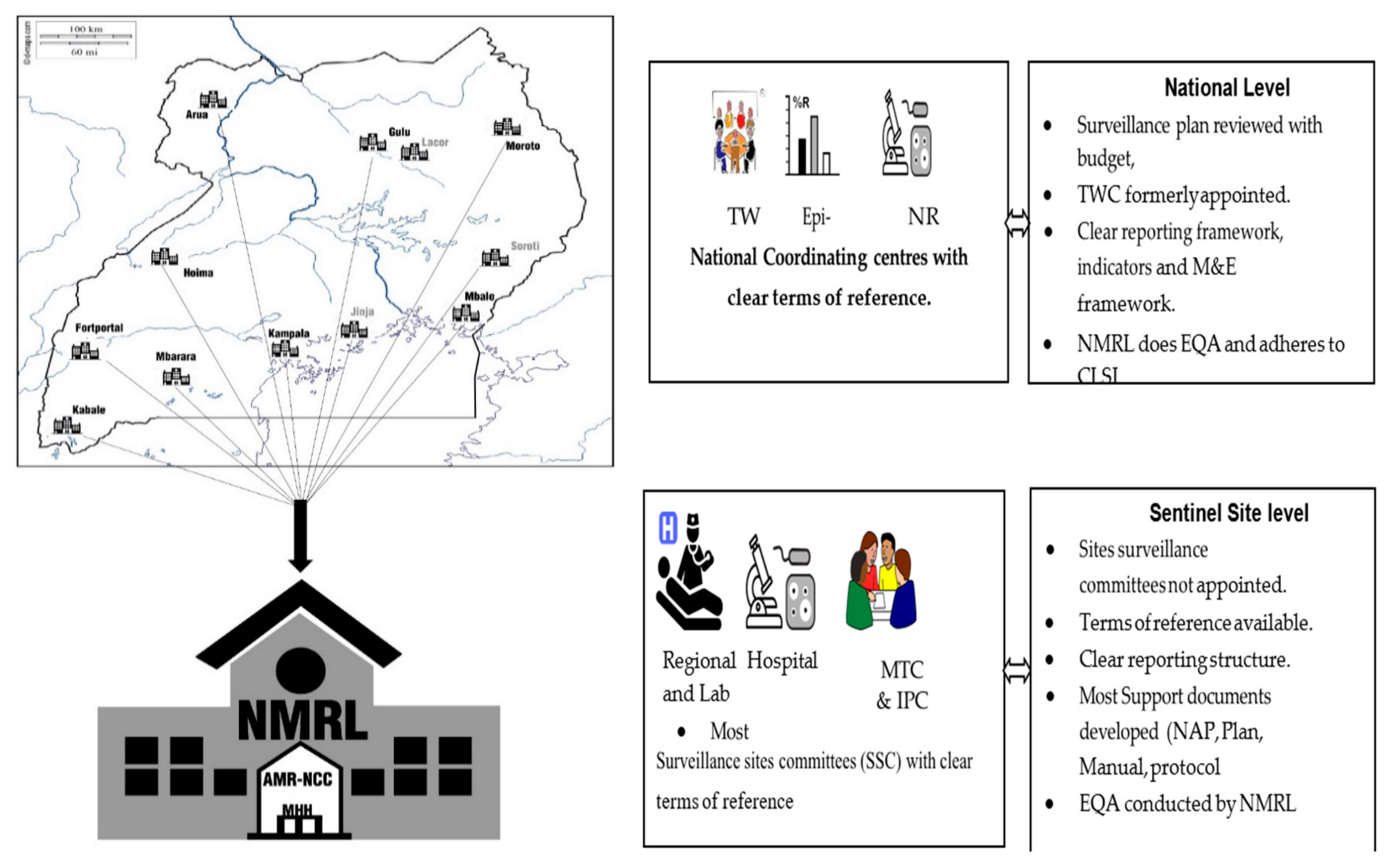 Tropicalmed 06 00178 g002